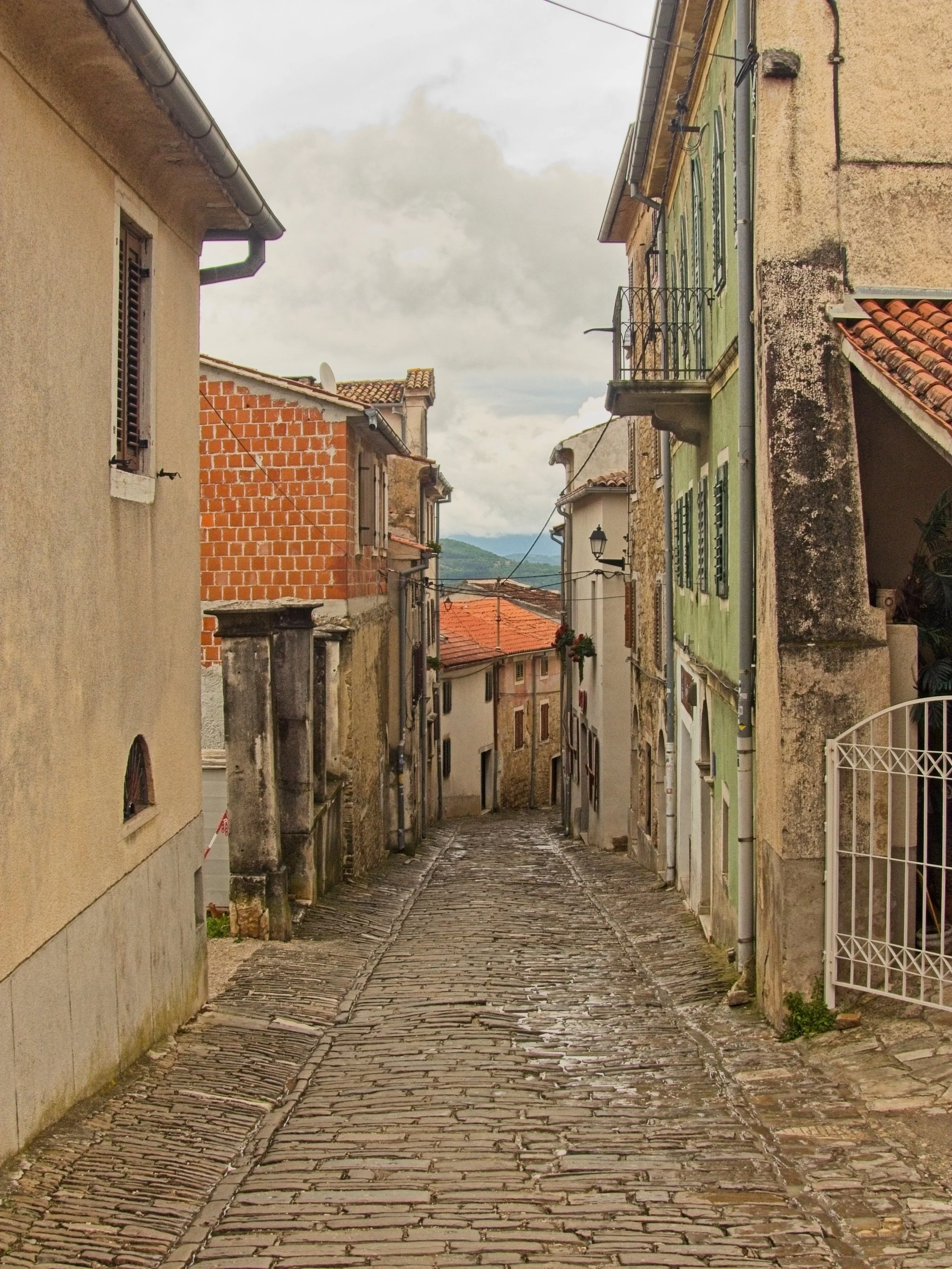P1100116.jpg