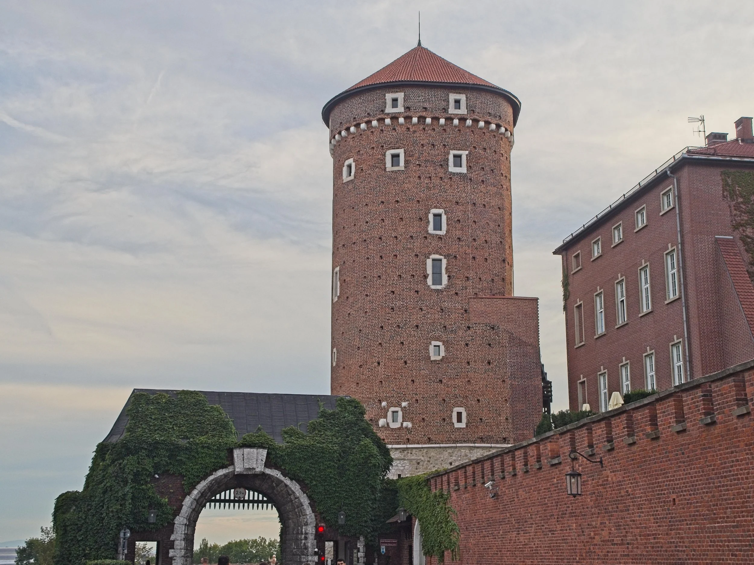P9020175.jpg