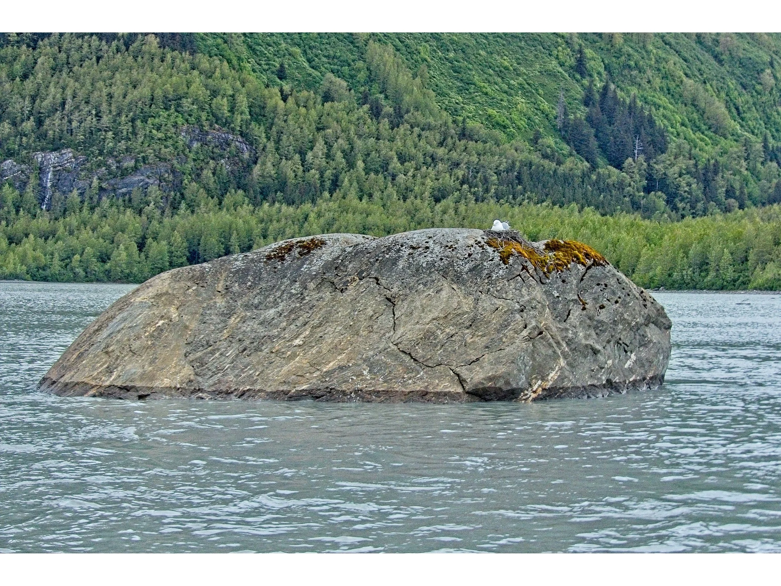 P1080843.jpg