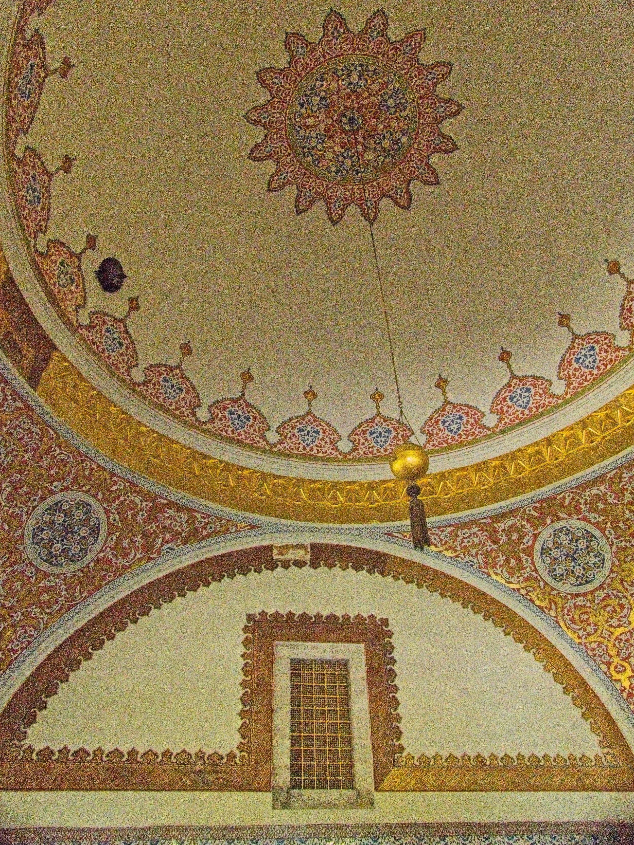 P1100655.jpg