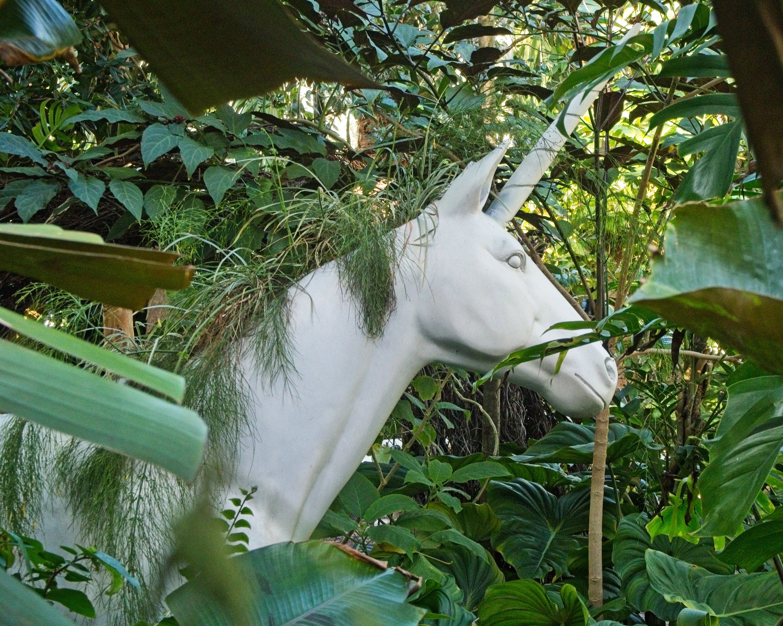 PC240206.jpg