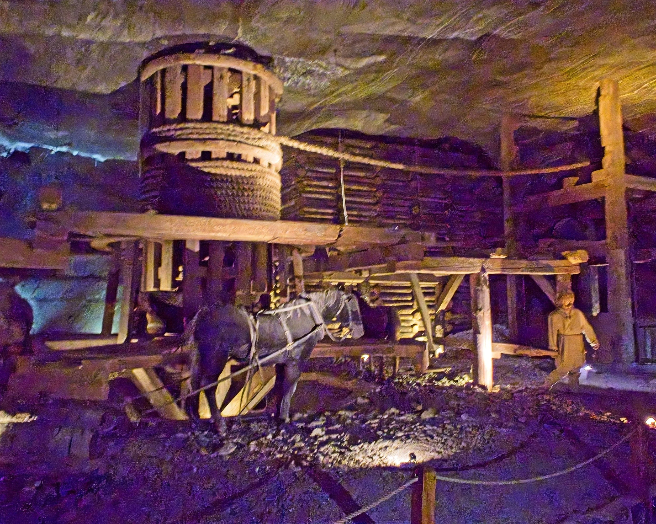P9030261.jpg