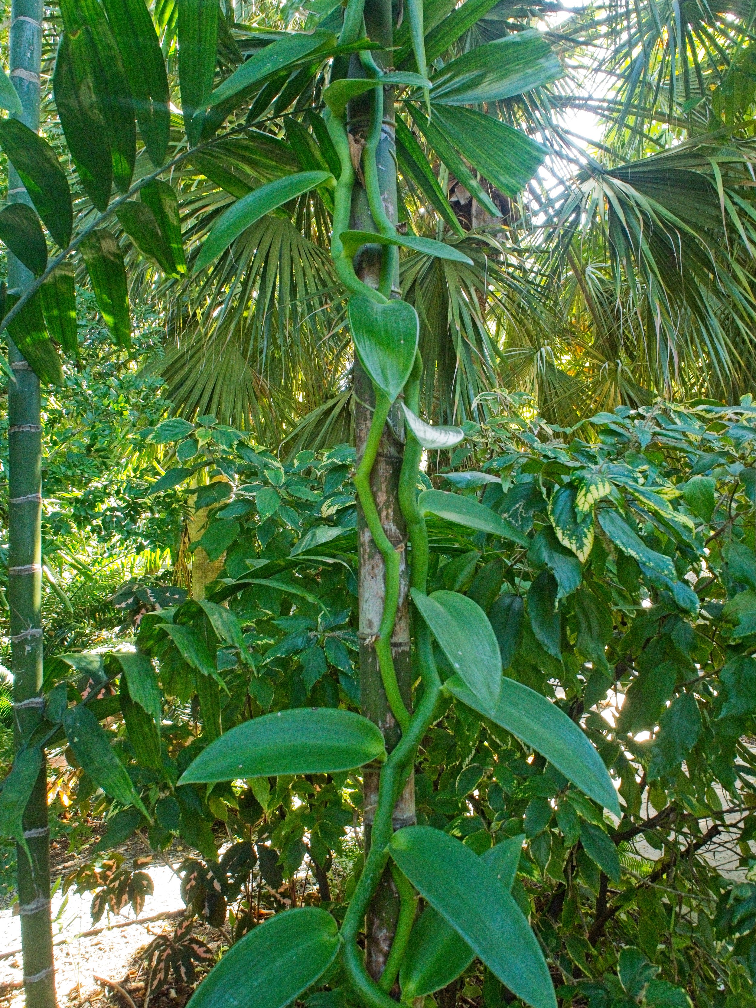 PC240208.jpg