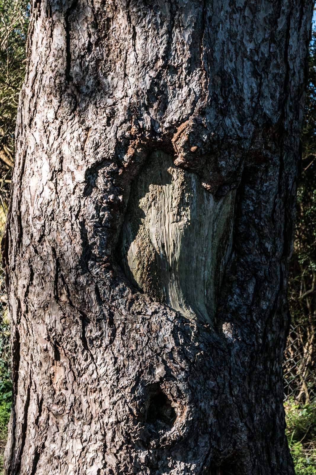 L1180900.jpg