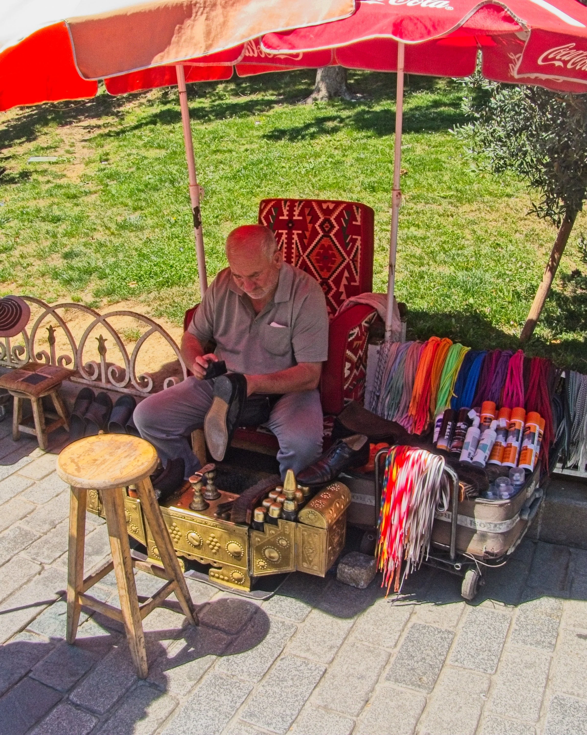 P1100542.jpg