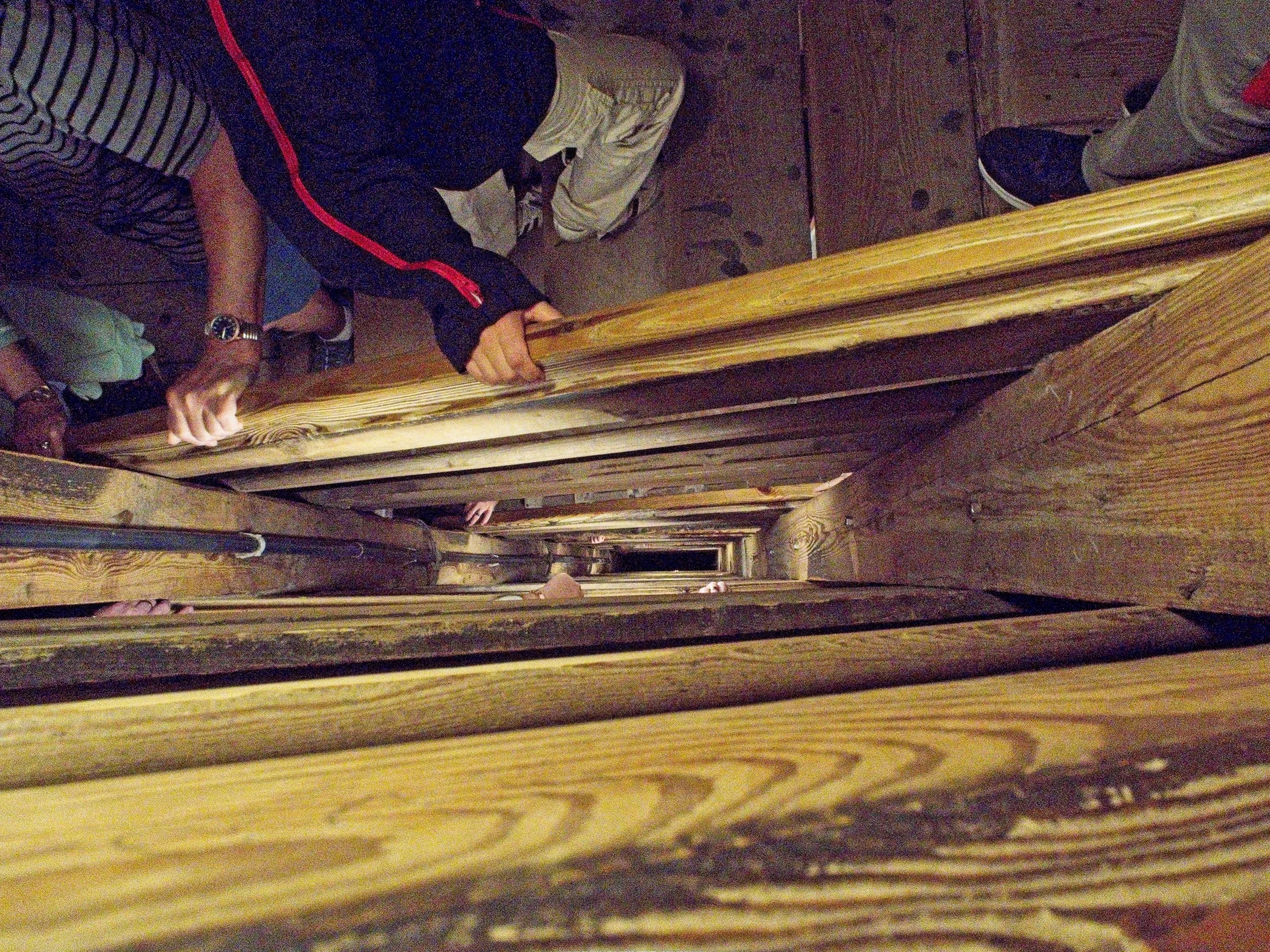P9030240.jpg