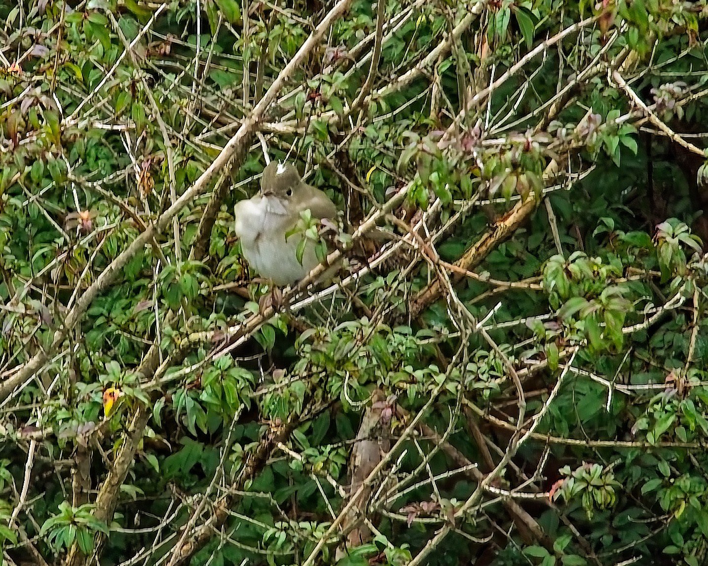 PC240379.jpg