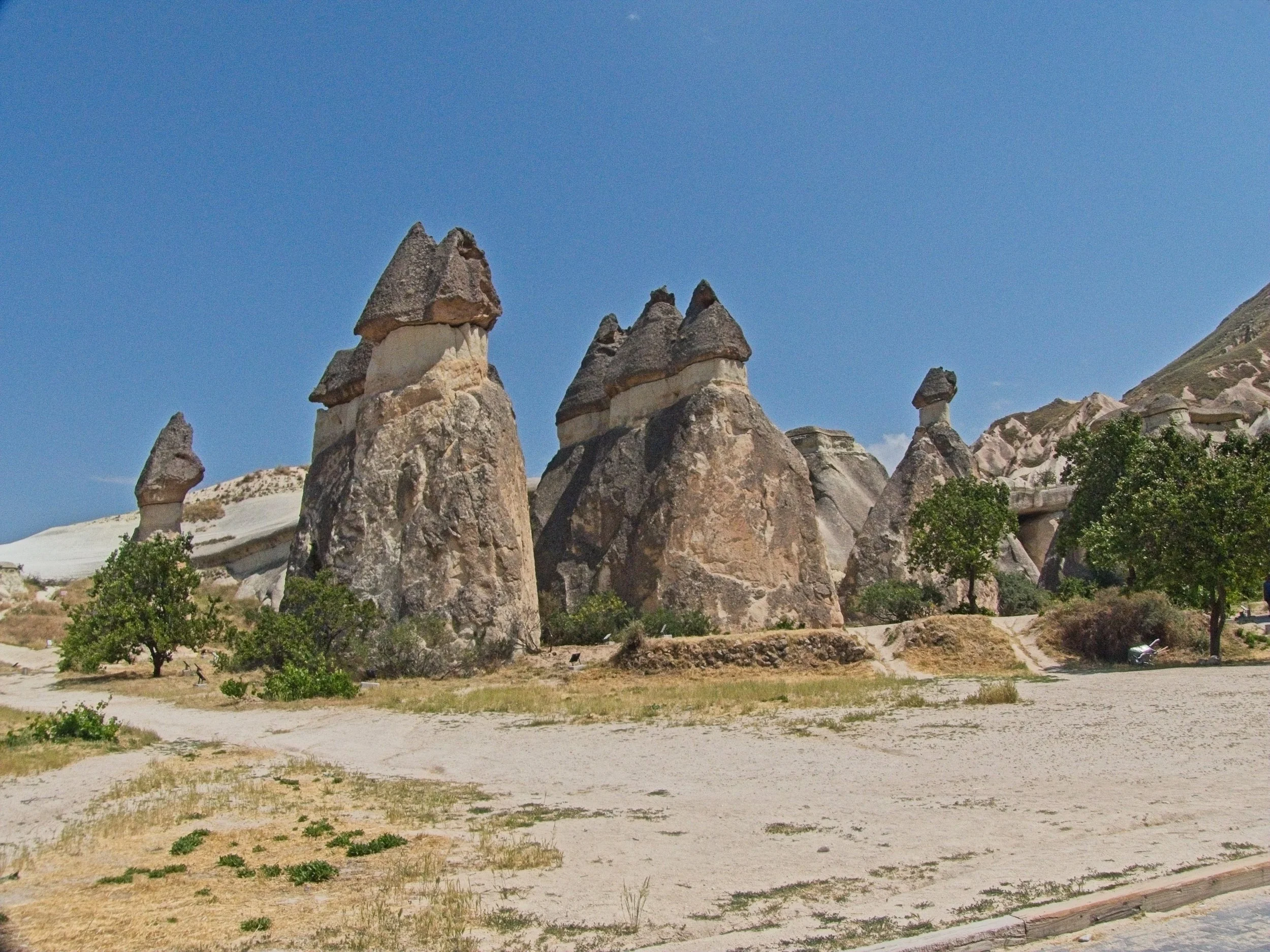 P1110477.jpg