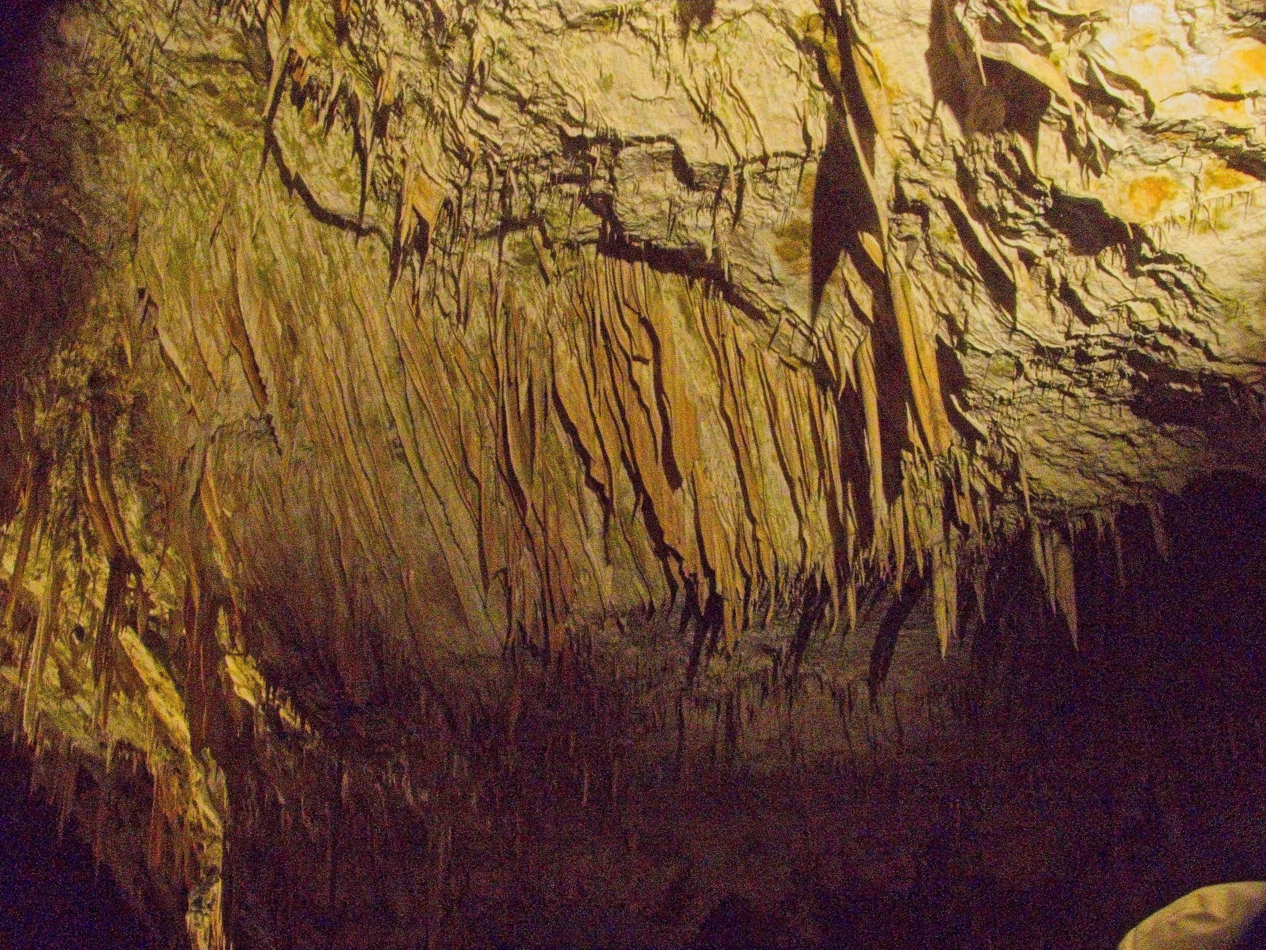 P1100012.jpg