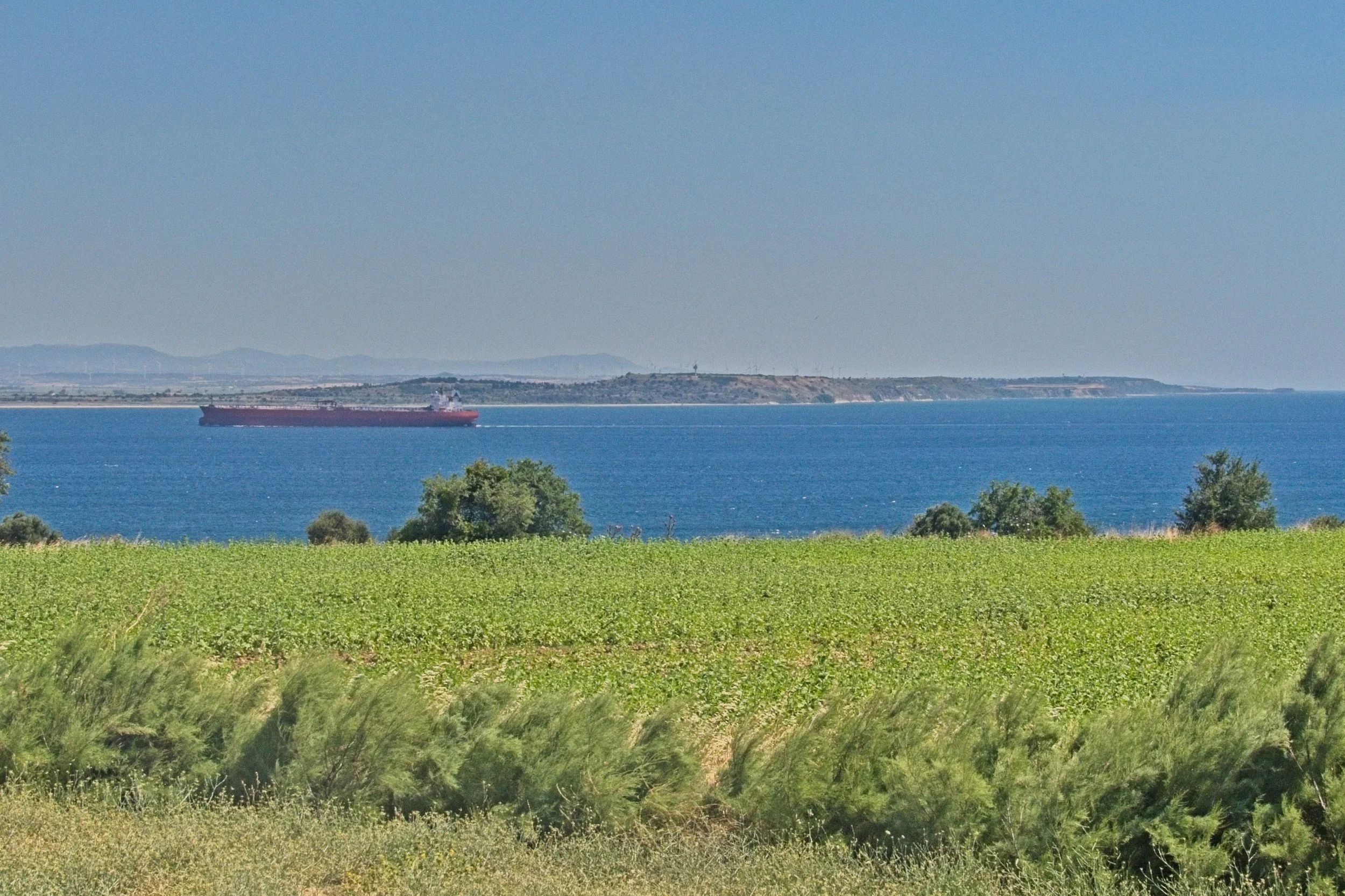 P1100828.jpg