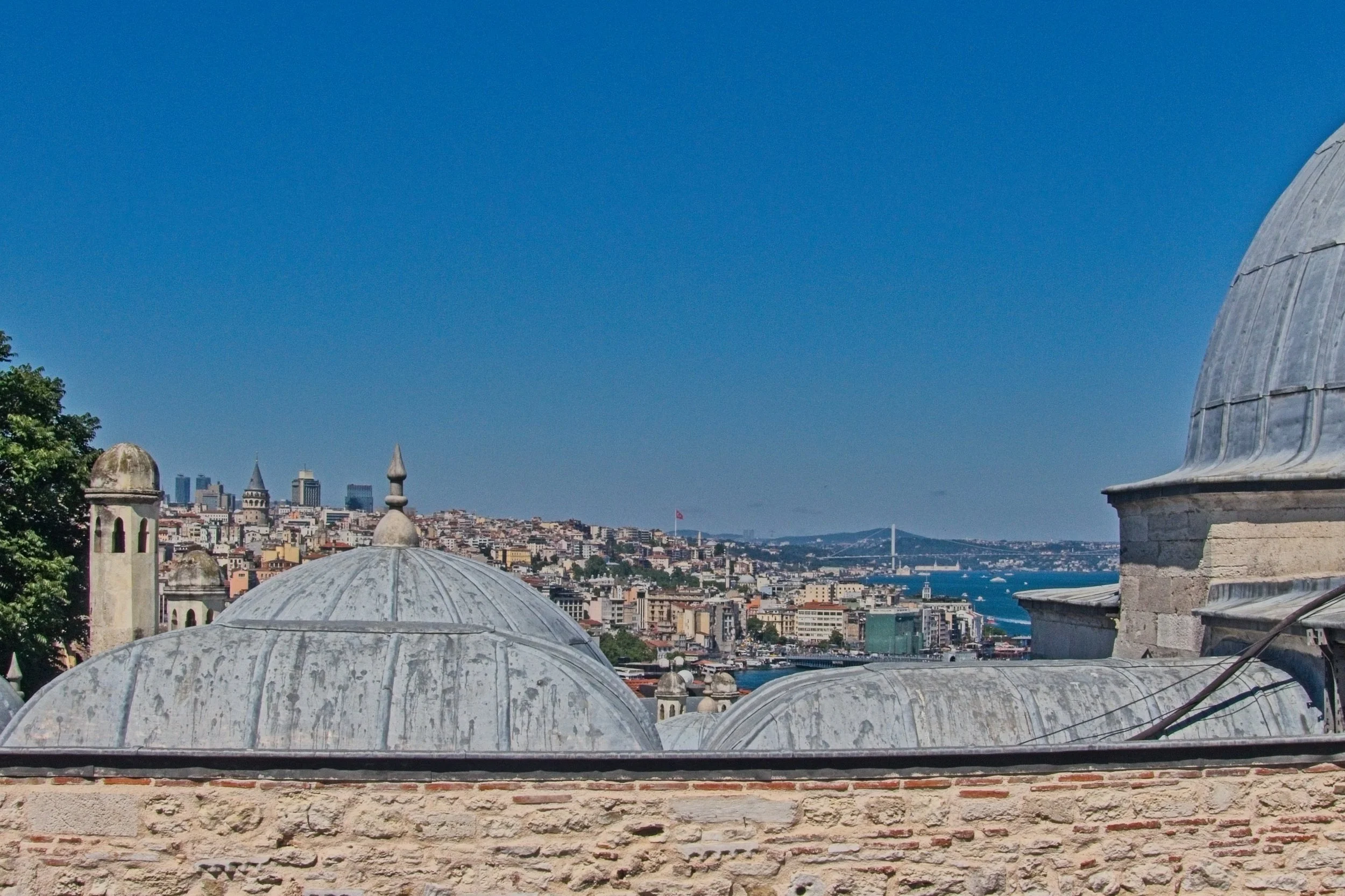 P1100599.jpg