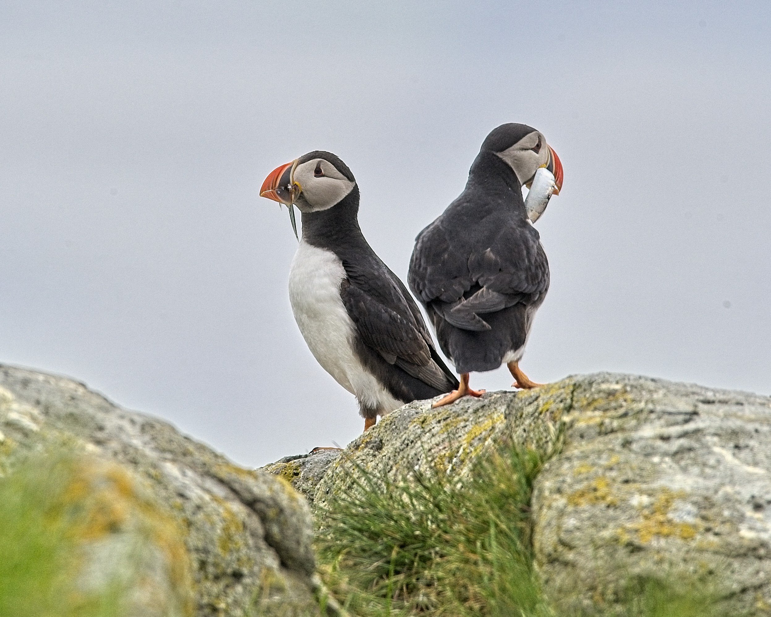 DSC_0044.jpg