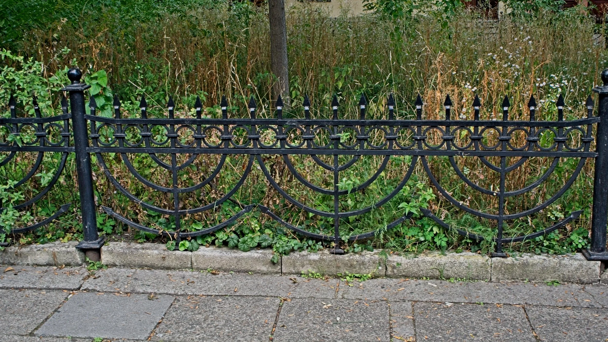 P9050398.jpg