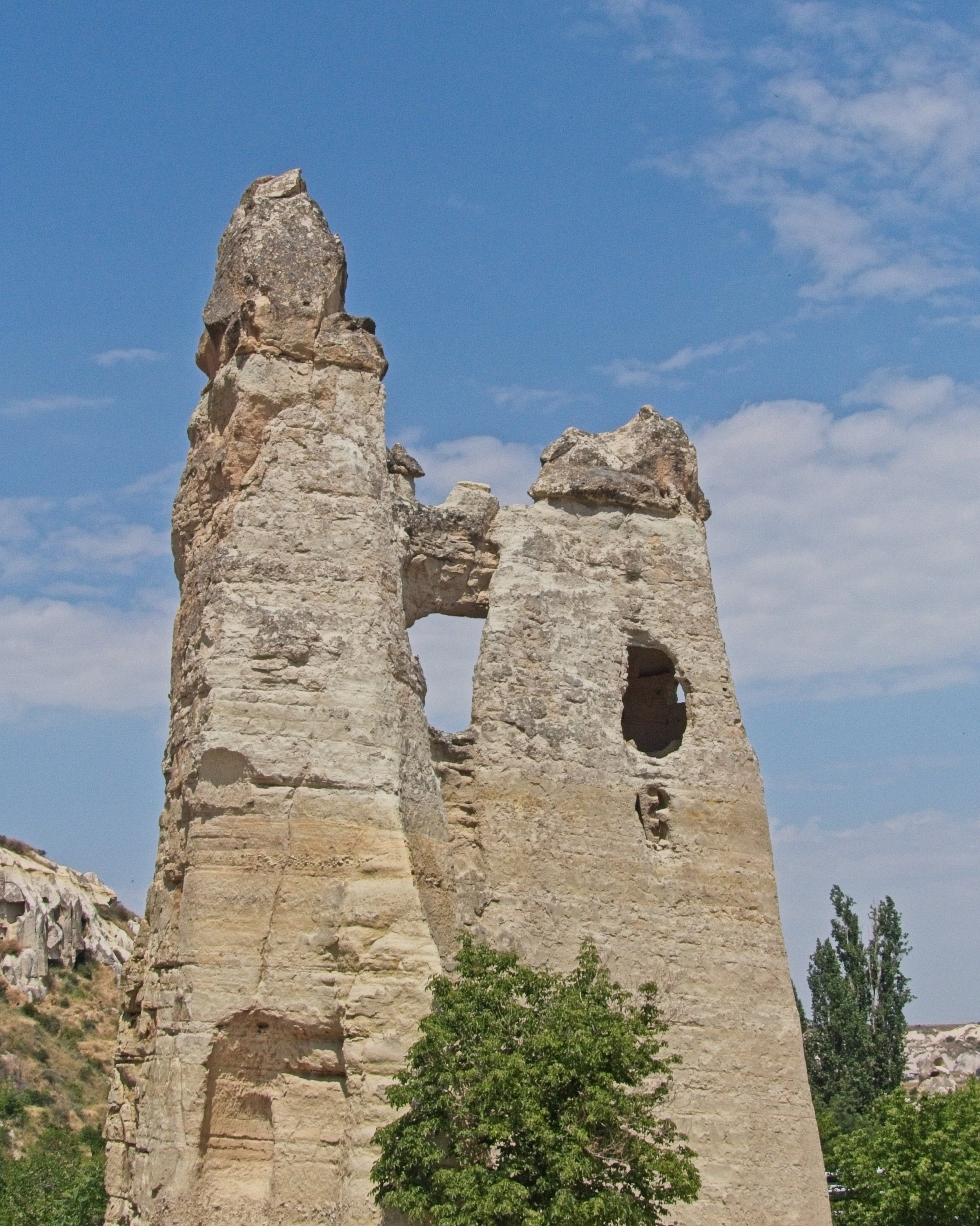 P1110450.jpg