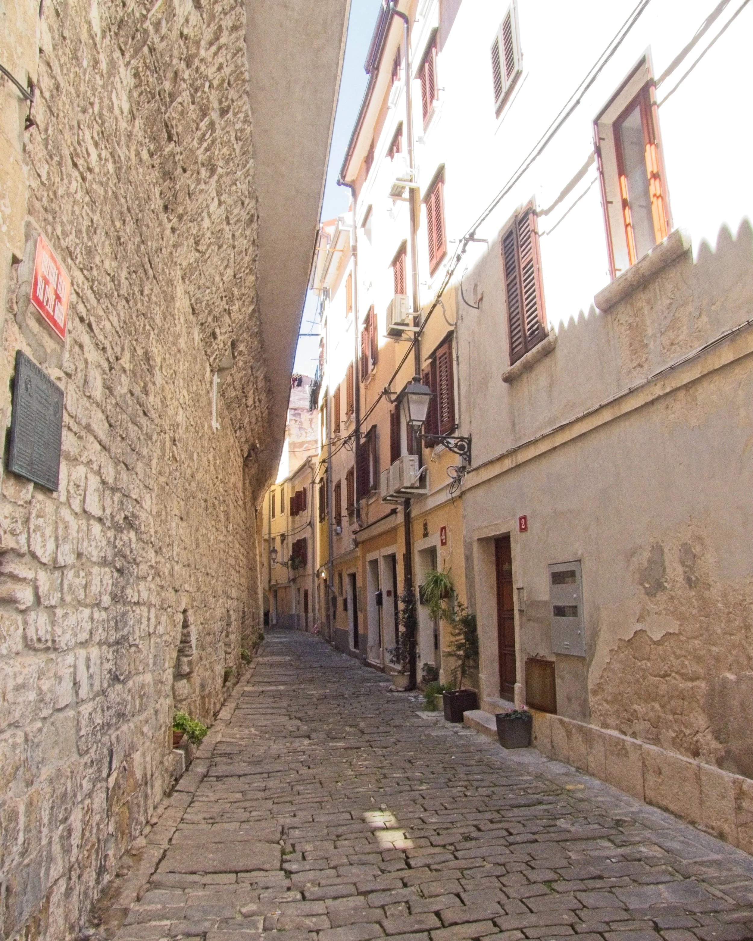 P1100273.jpg