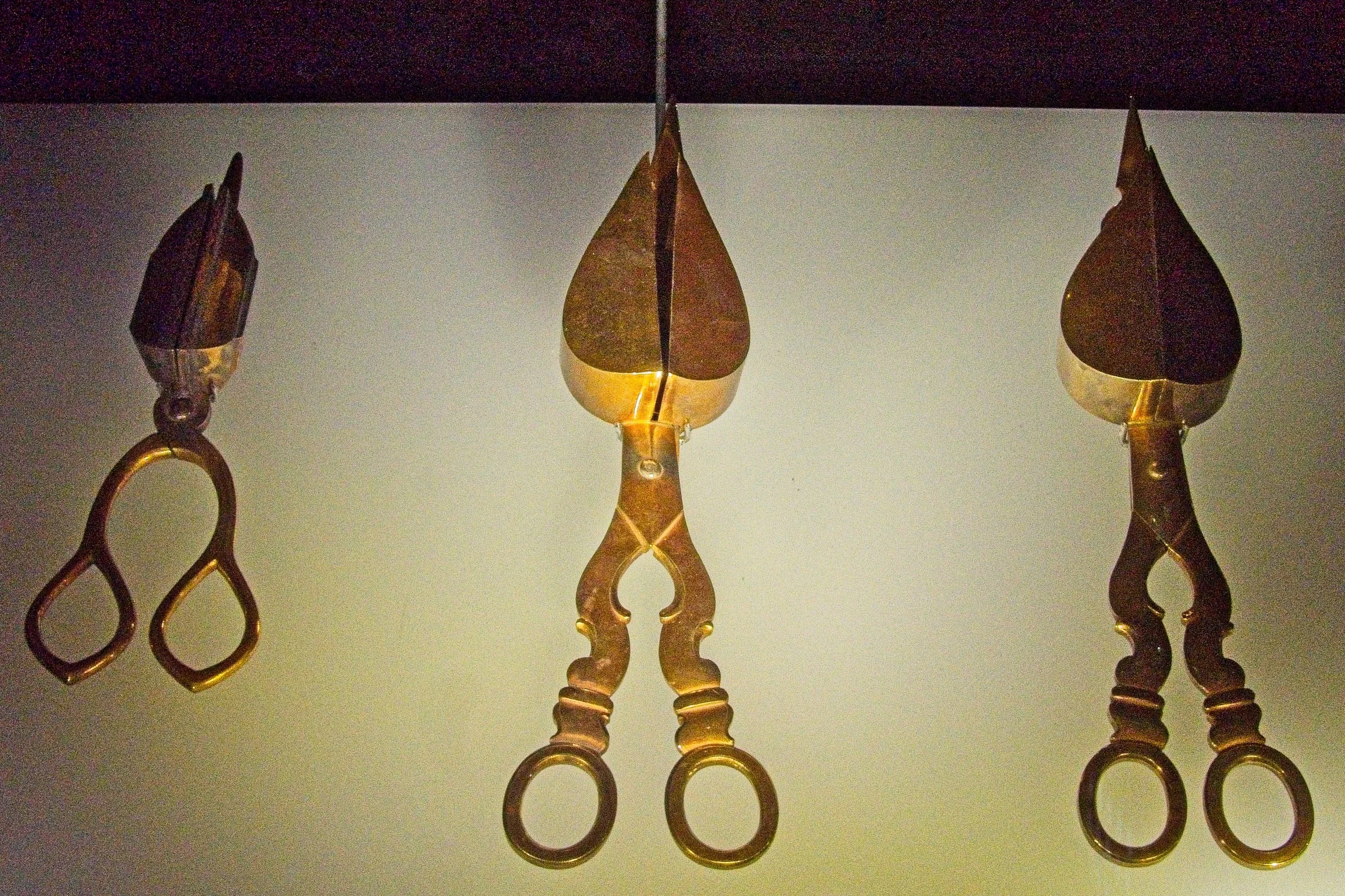 P1100769.jpg