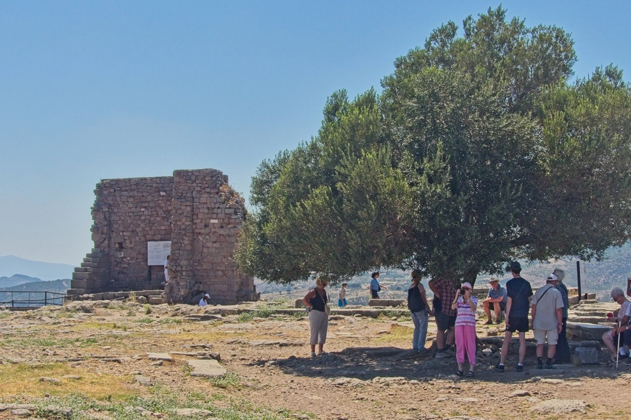 P1100941.jpg