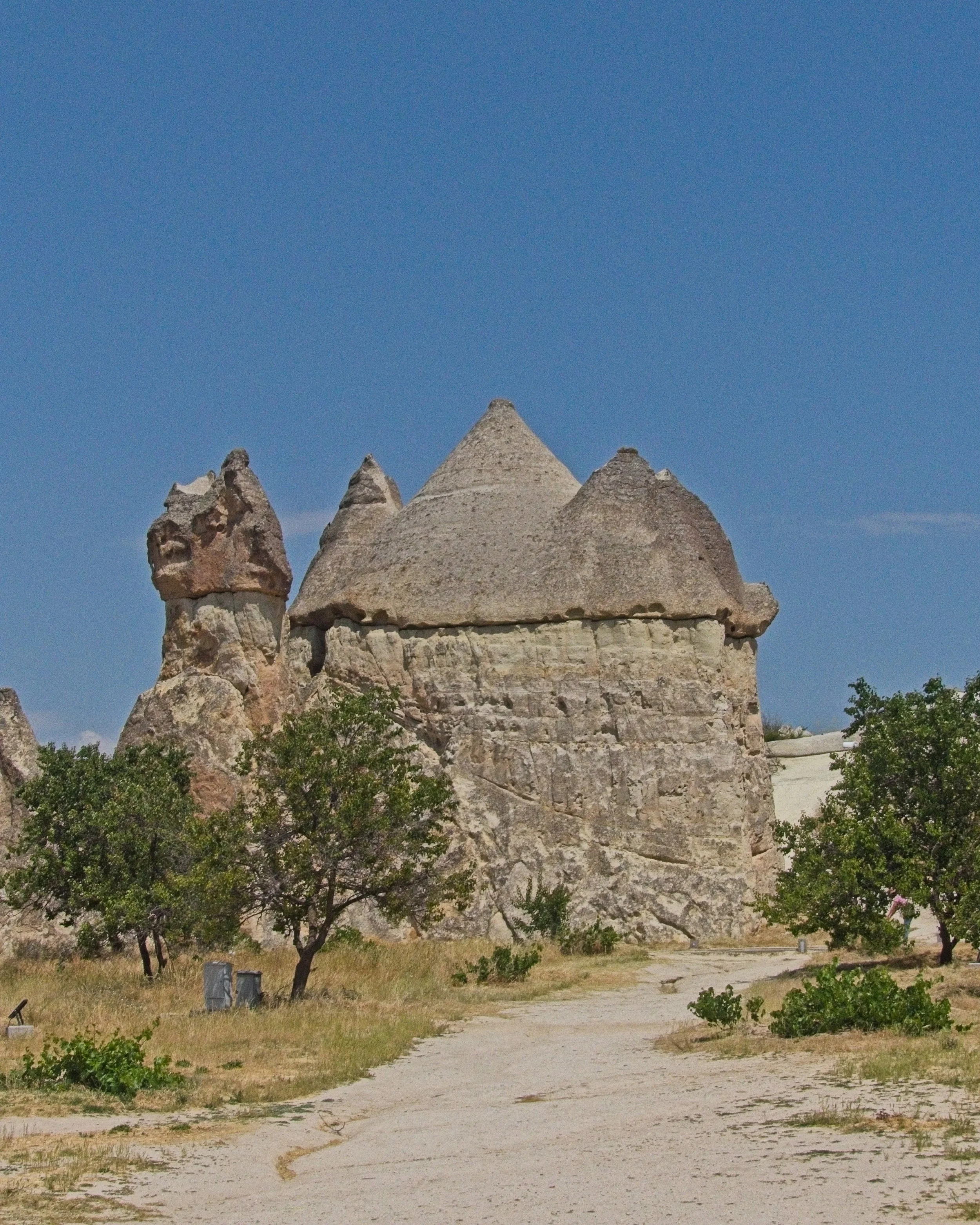 P1110472.jpg