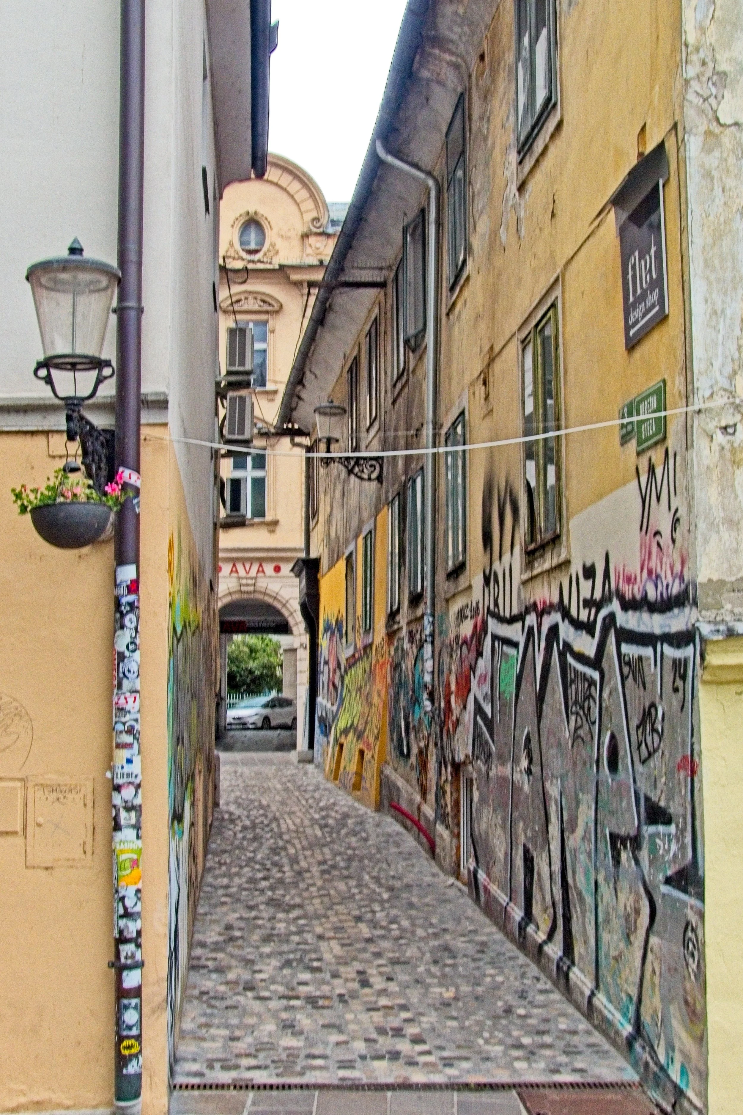 P1090960.jpg