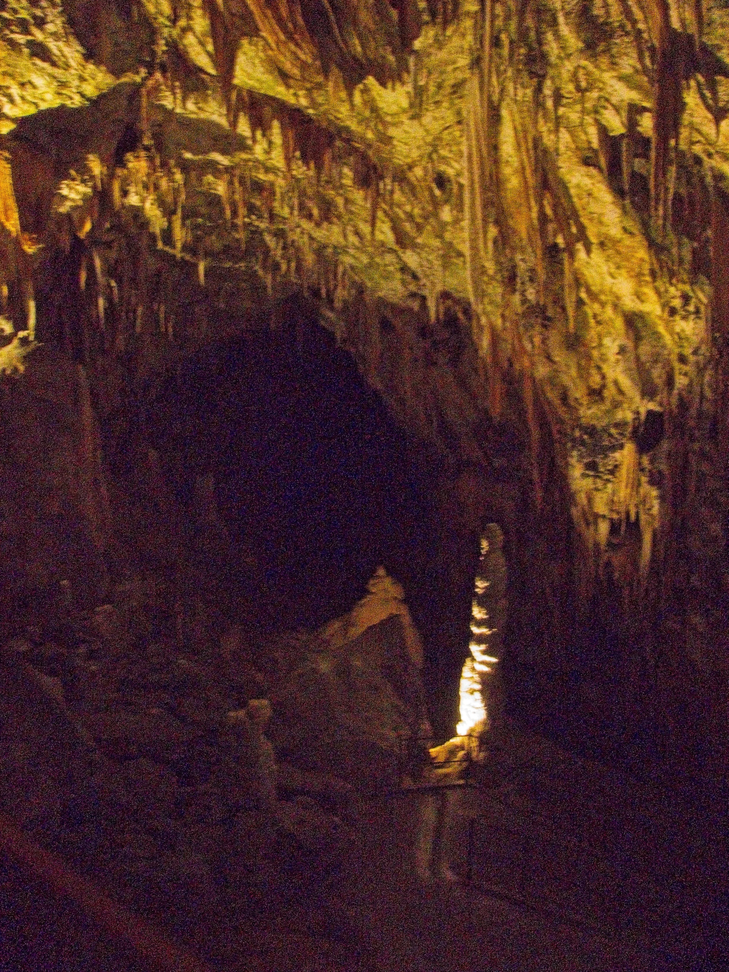 P1100010.jpg