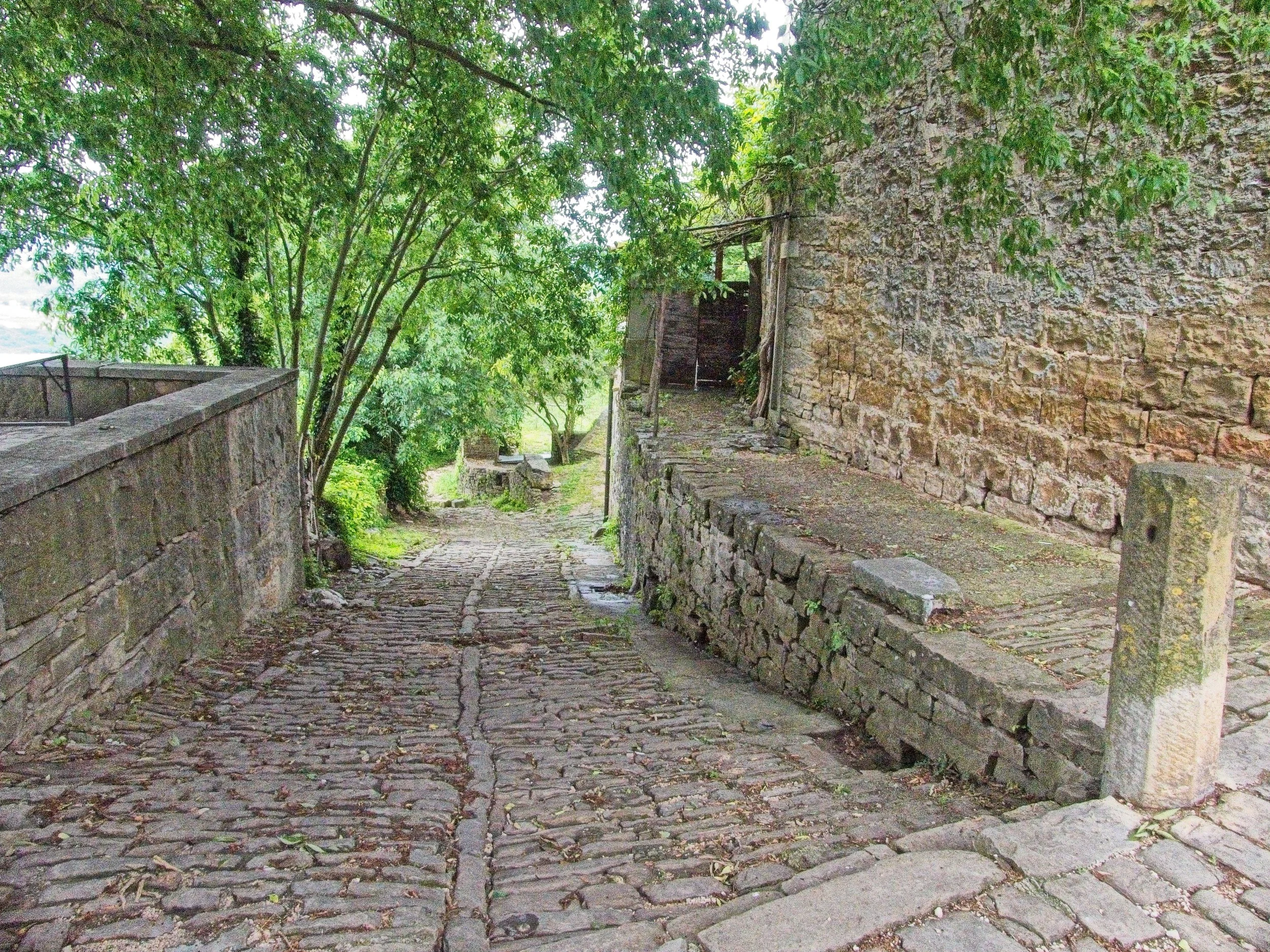 P1100142.jpg