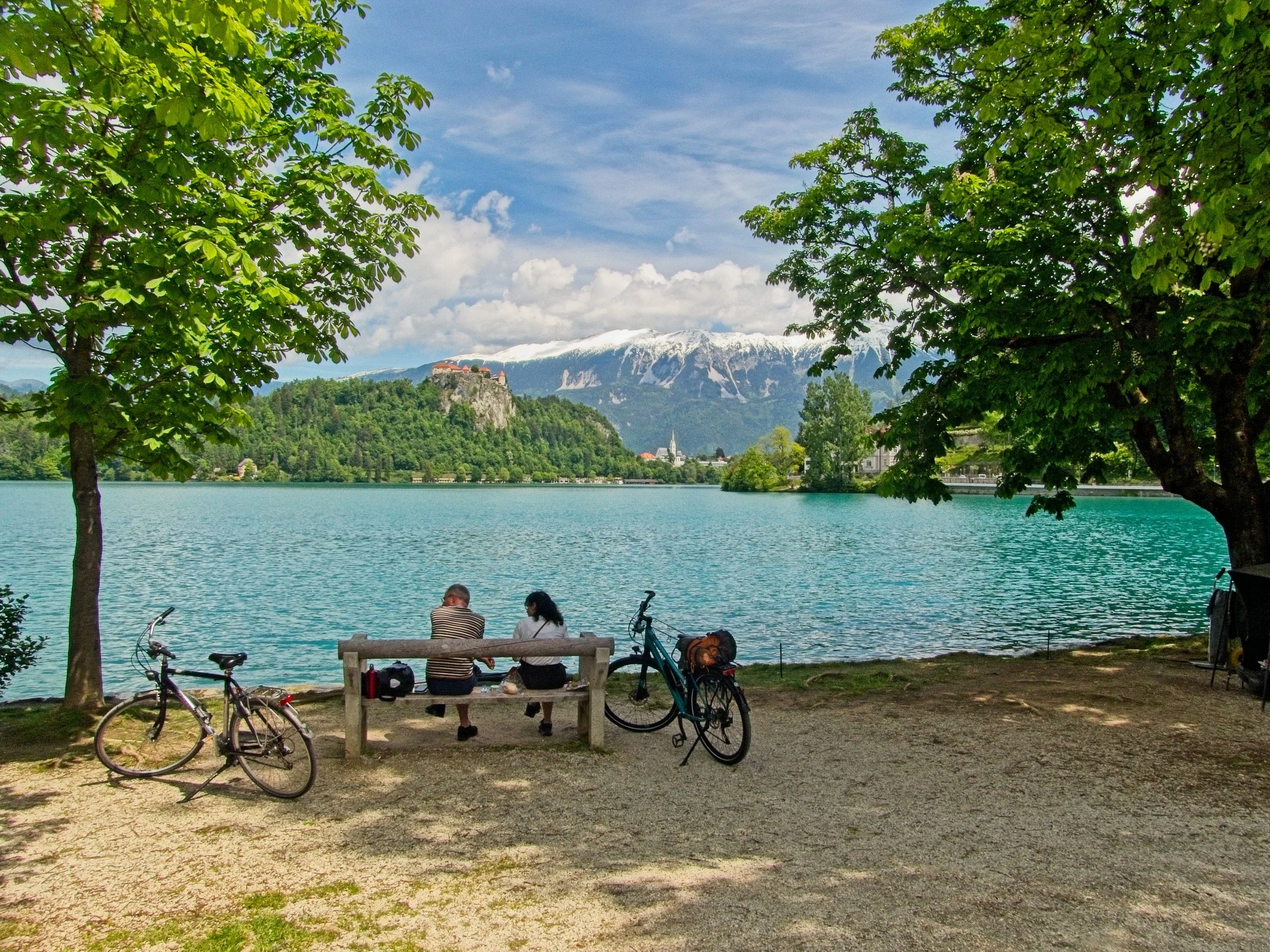 P1100335.jpg