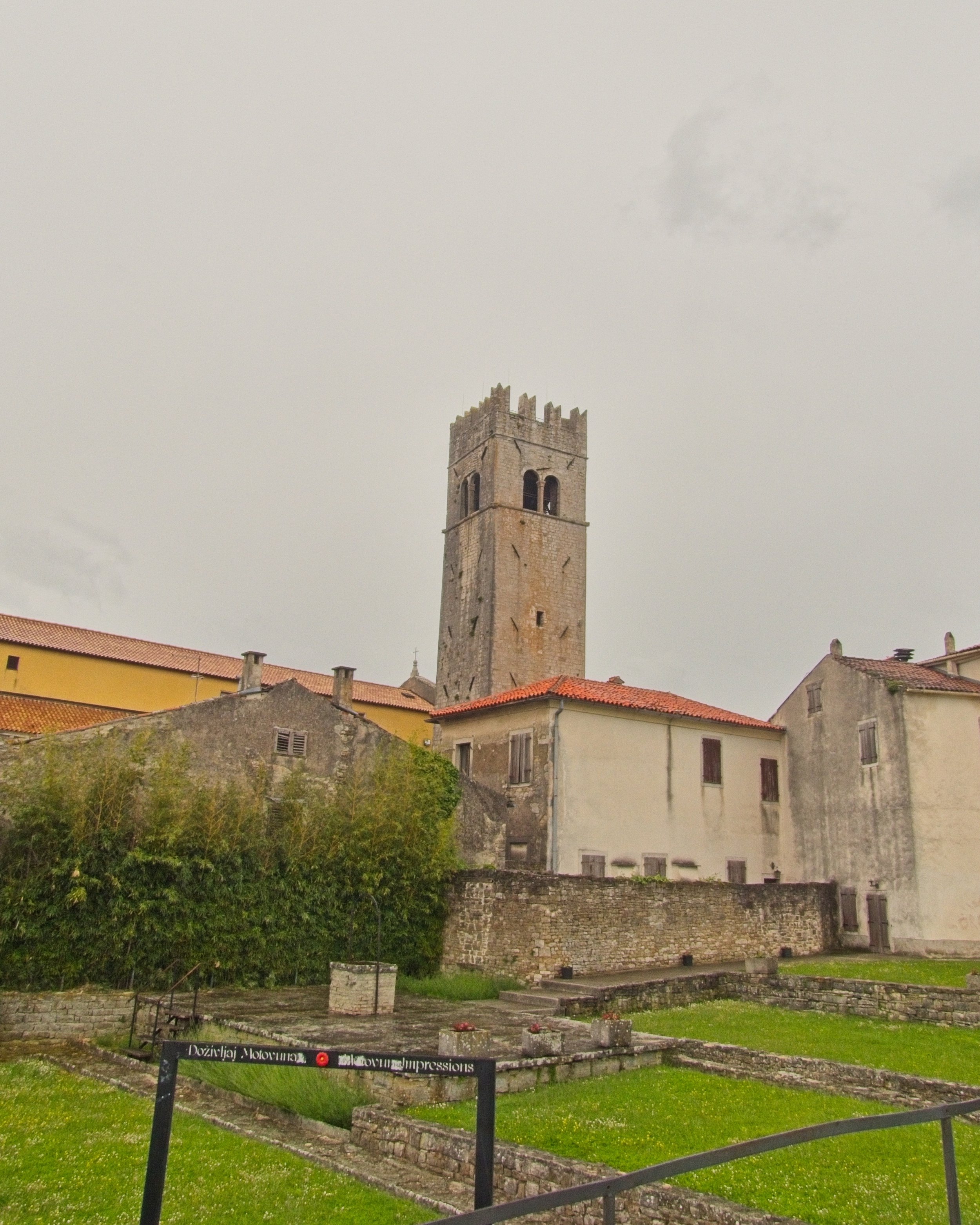 P1100084.jpg