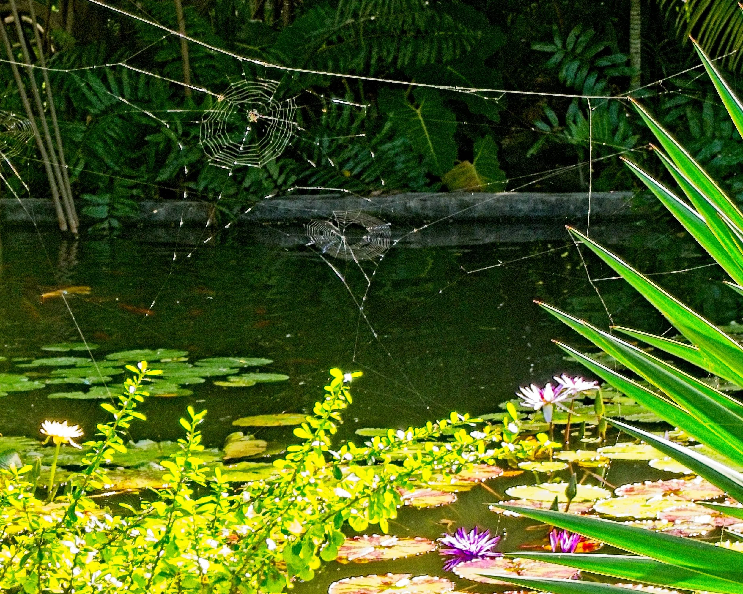 PC240226.jpg