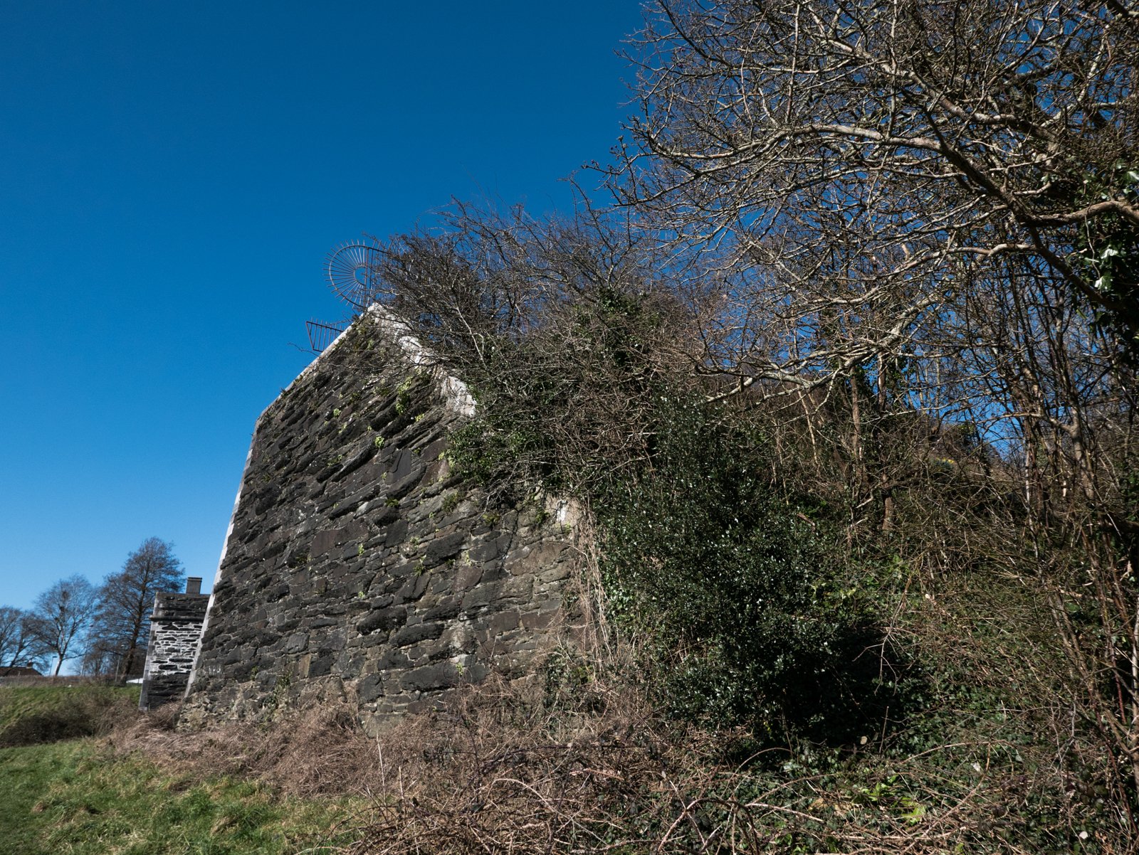 L1180925.jpg
