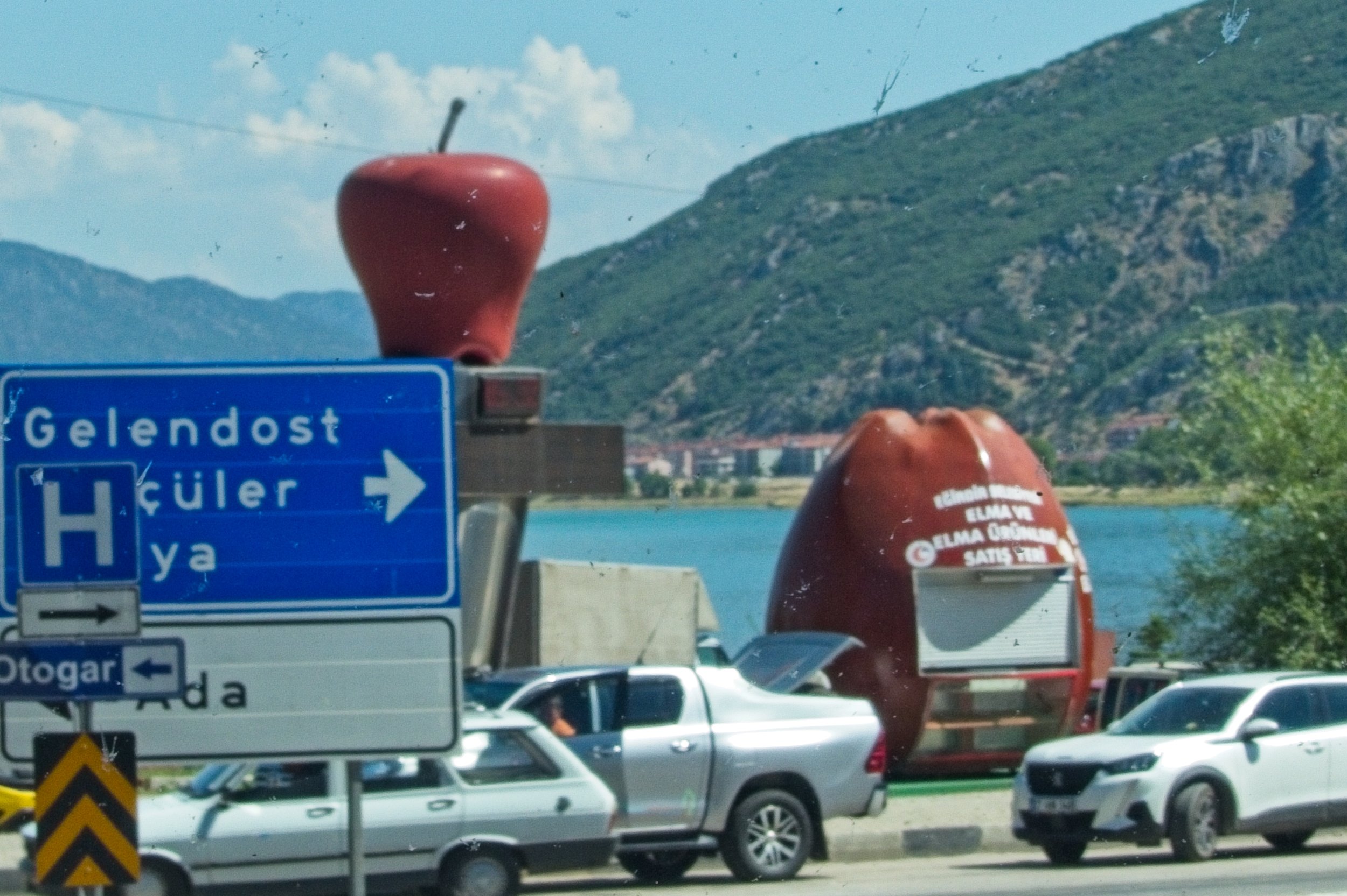 P1110141.jpg