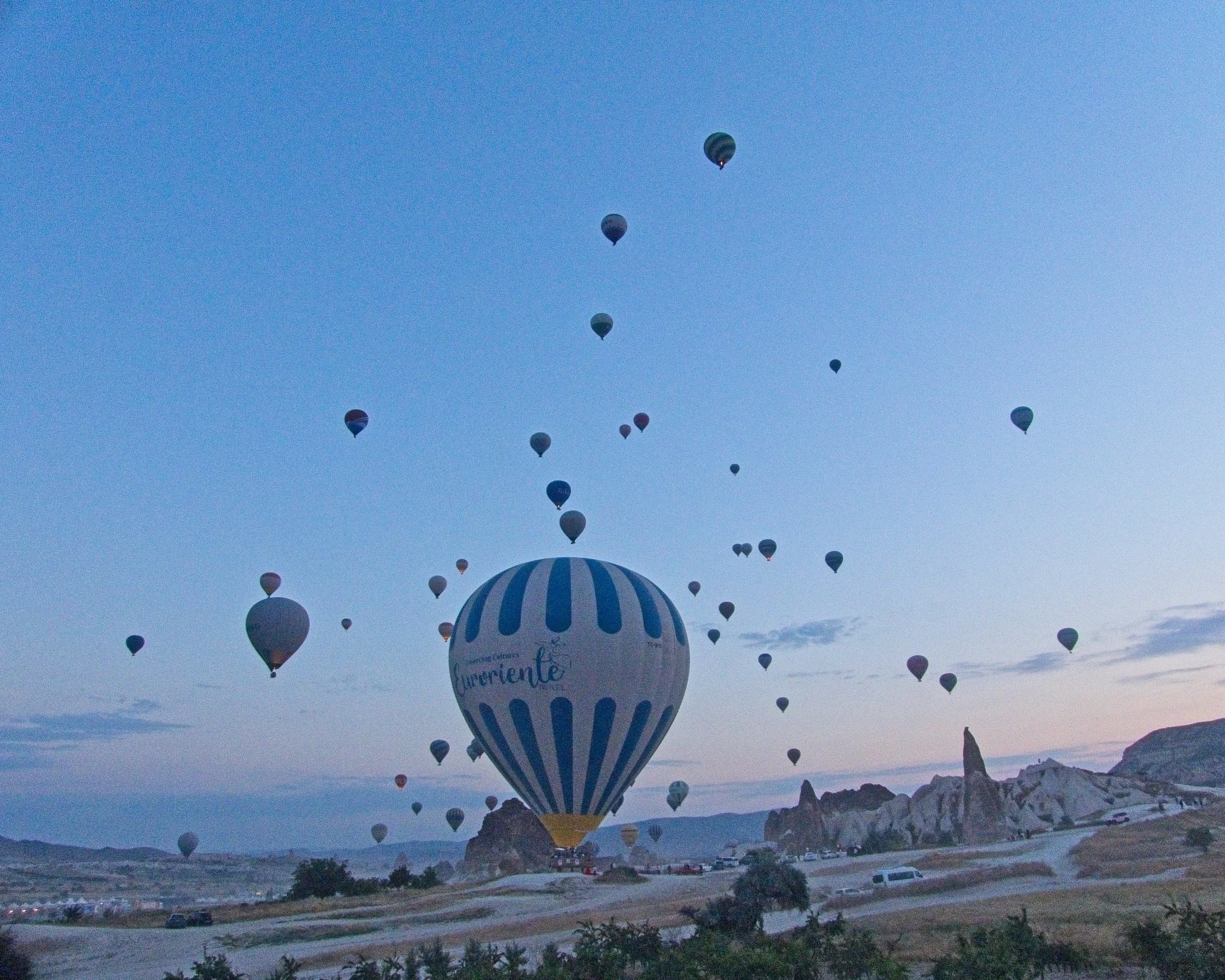 P1110353.jpg