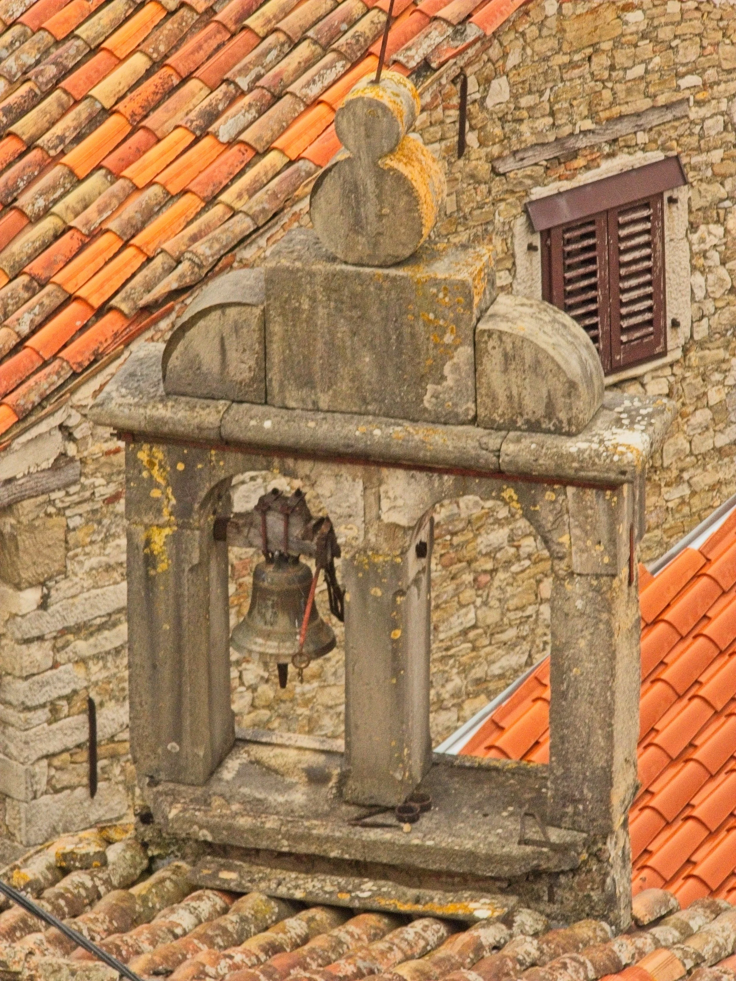 P1100090.jpg