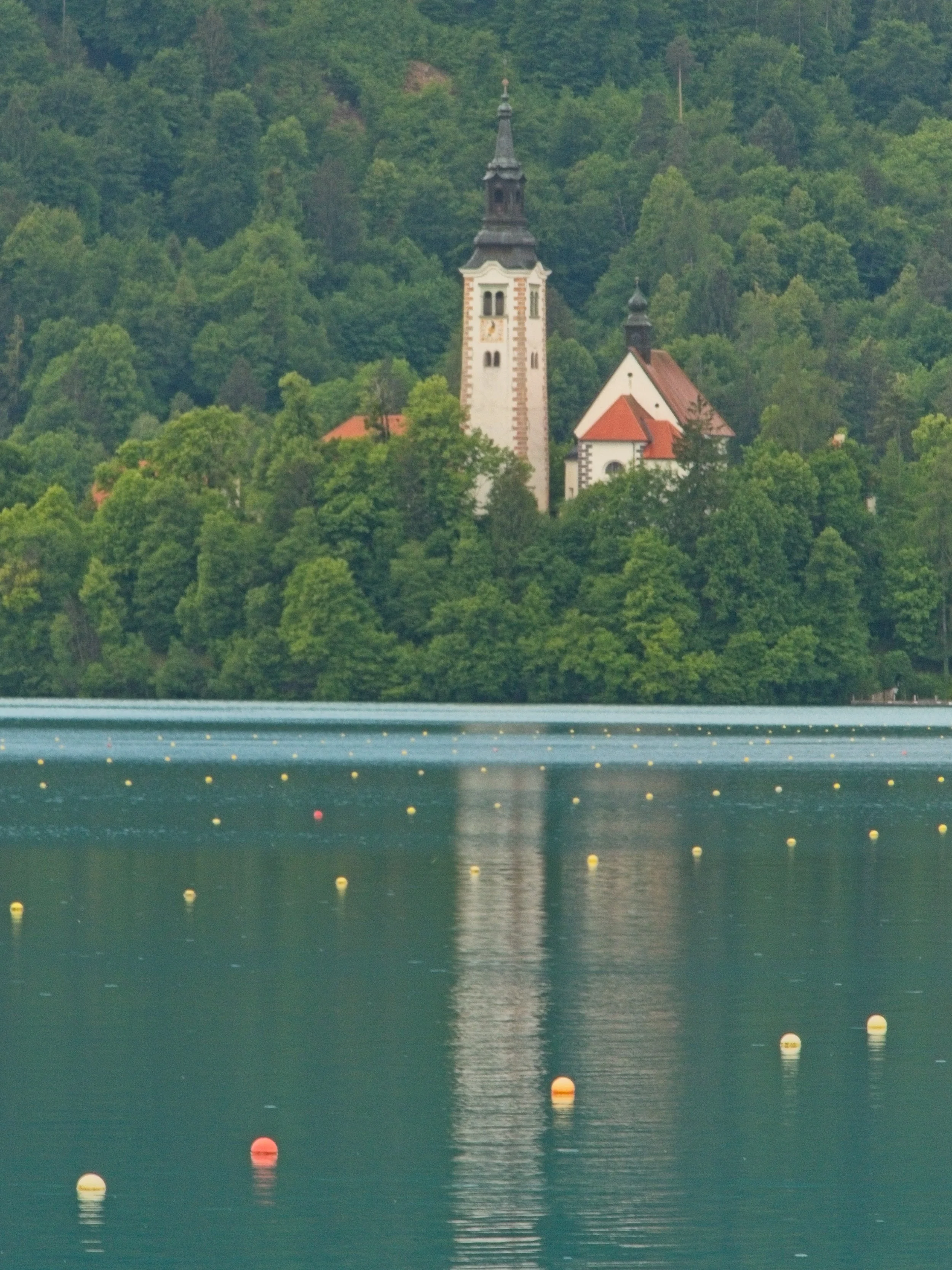 P1100341.jpg