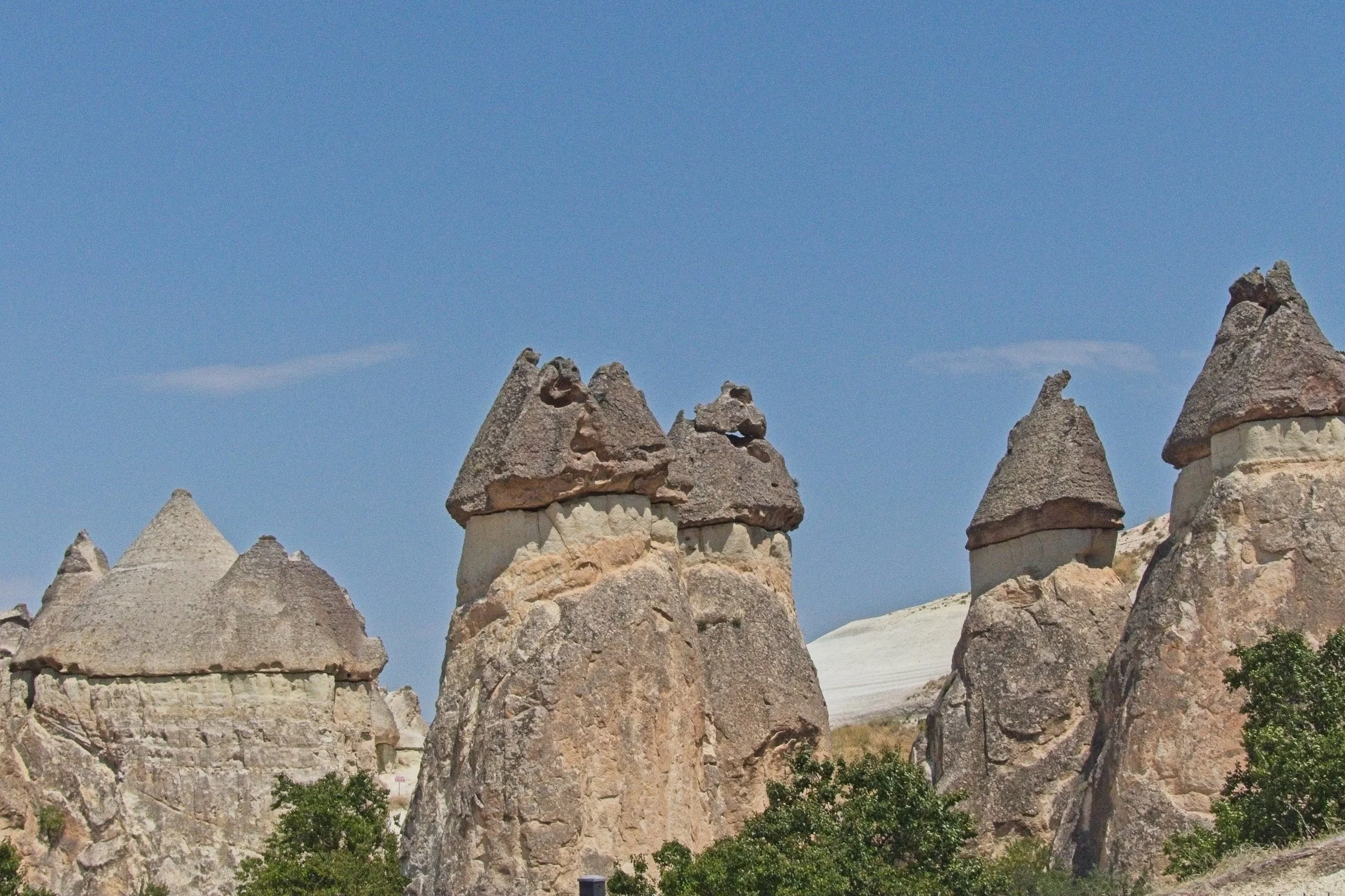 P1110470.jpg