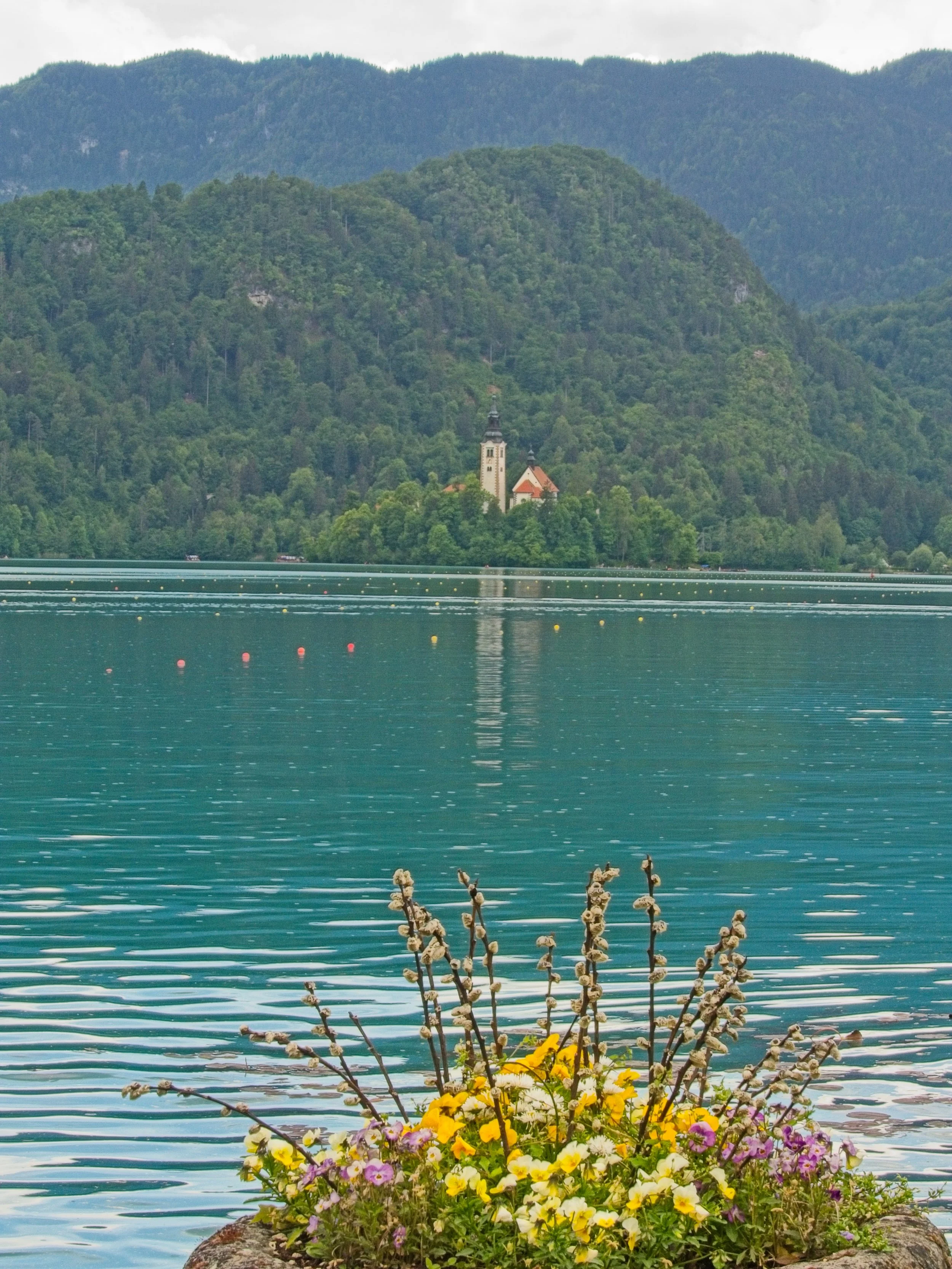 P1100348.jpg