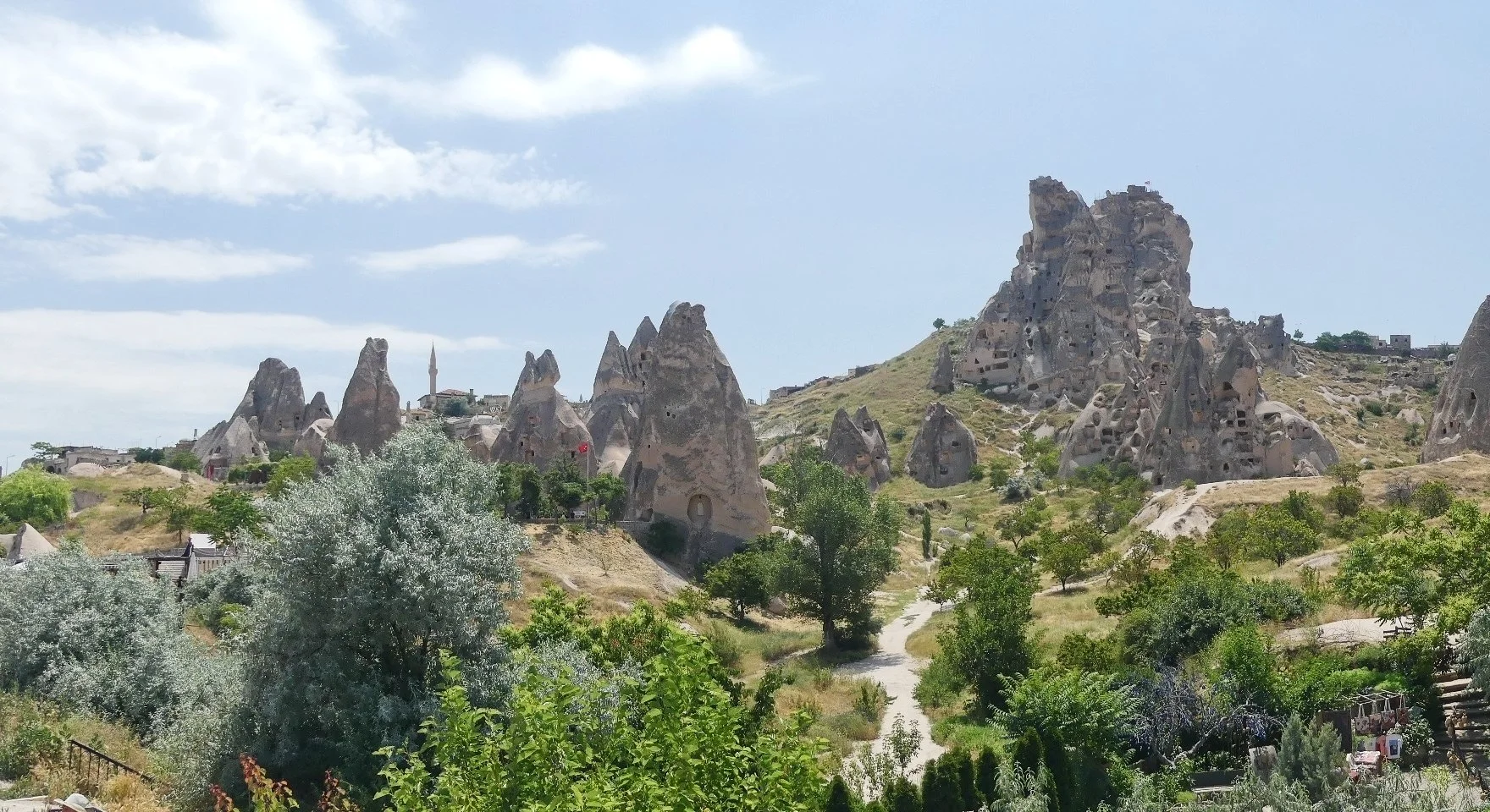 P1110457.jpg