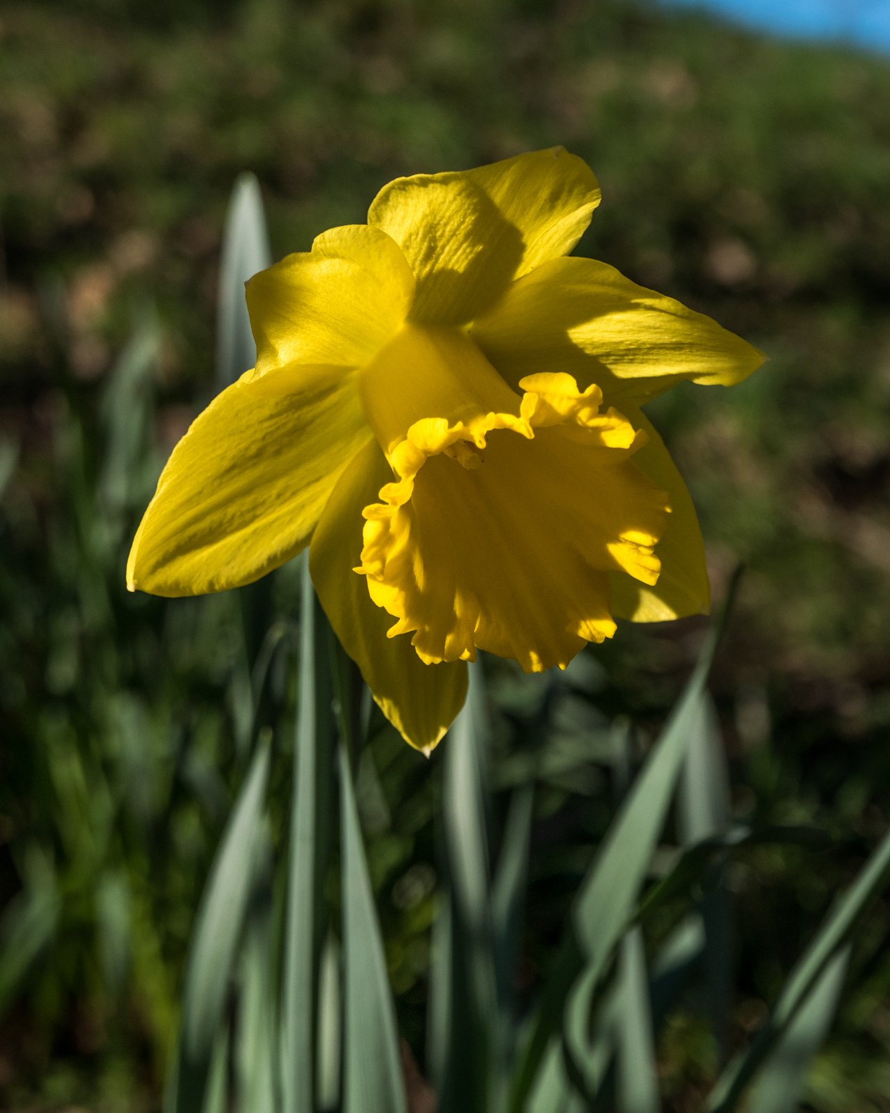 L1180904.jpg