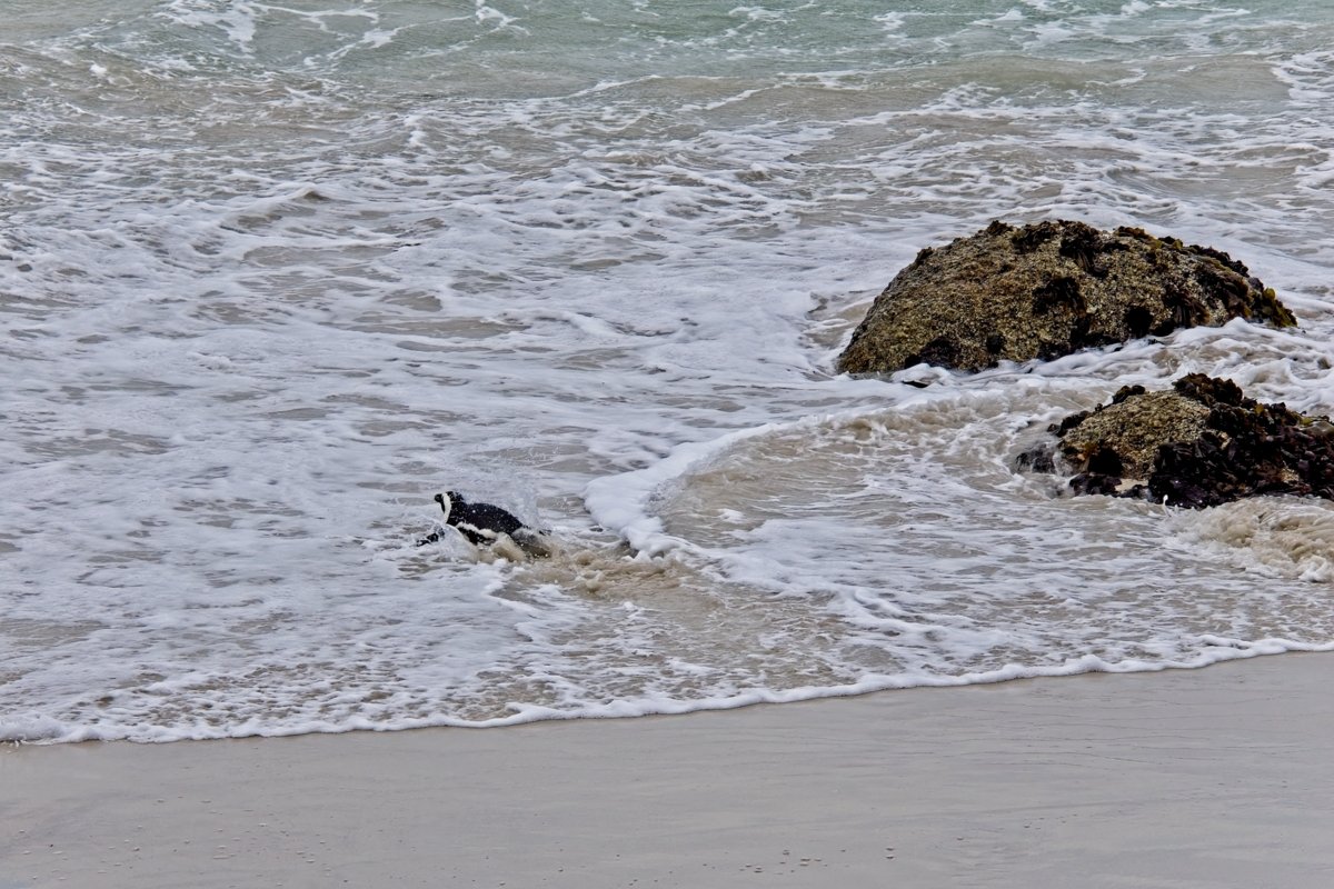 P1152000.jpg