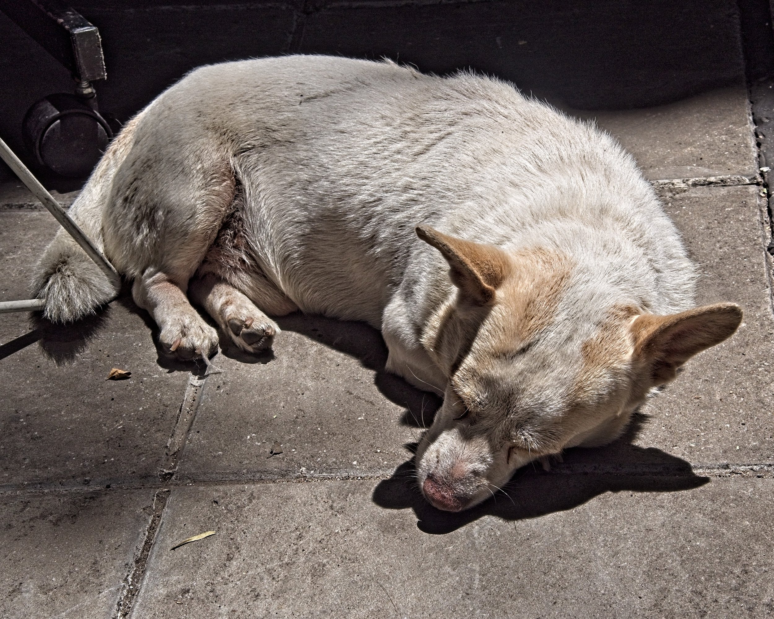 P1103662.jpg