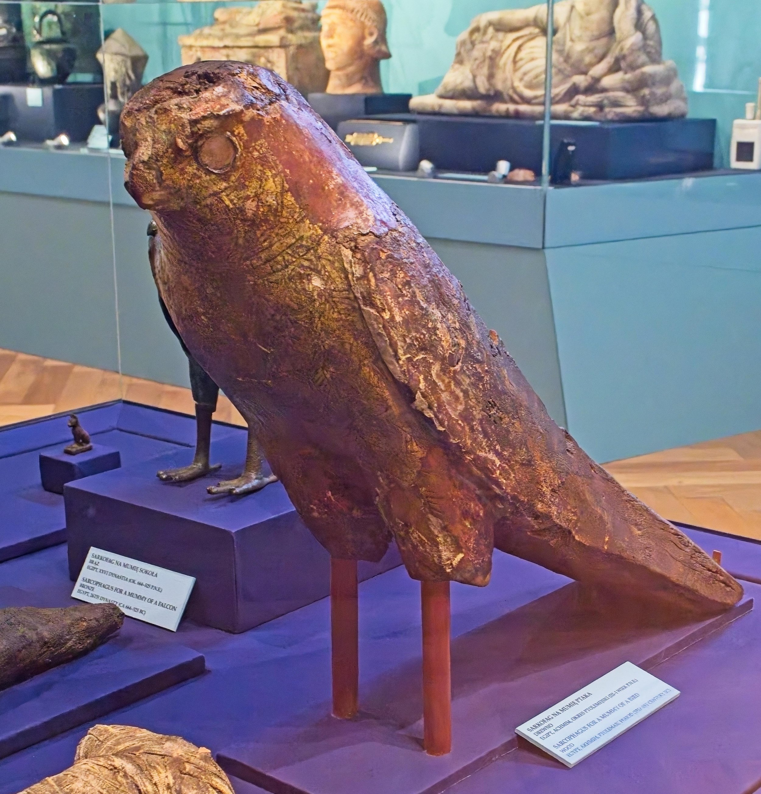 P9020108.jpg