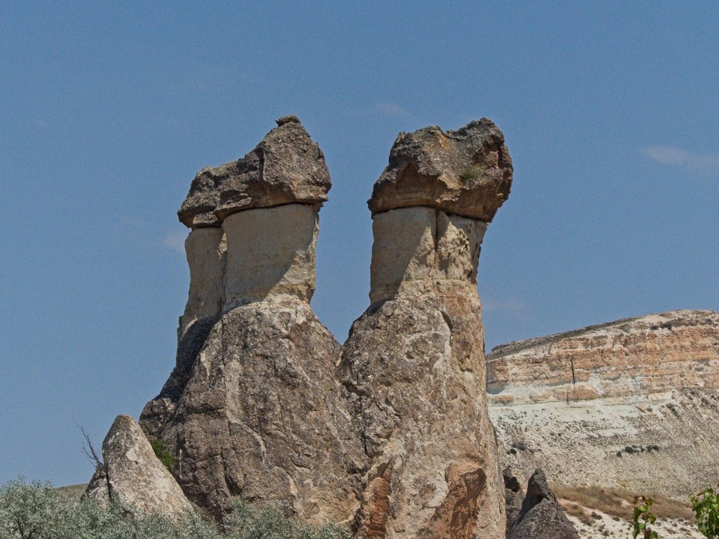 P1110466.jpg