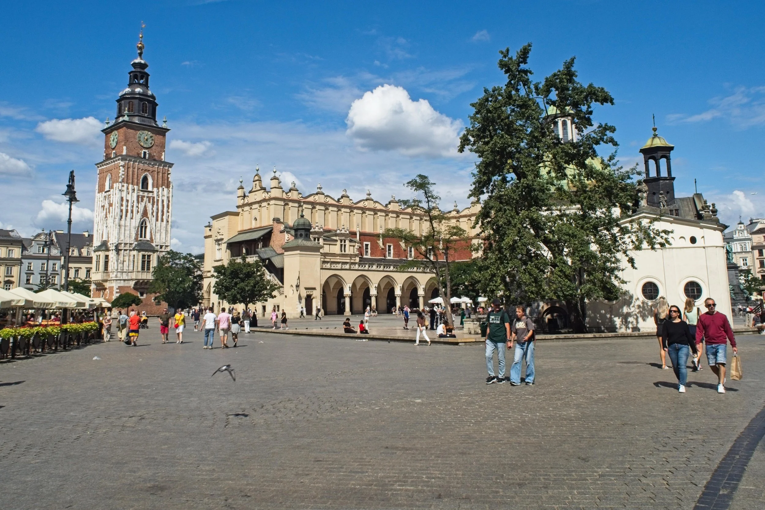 P9020139.jpg