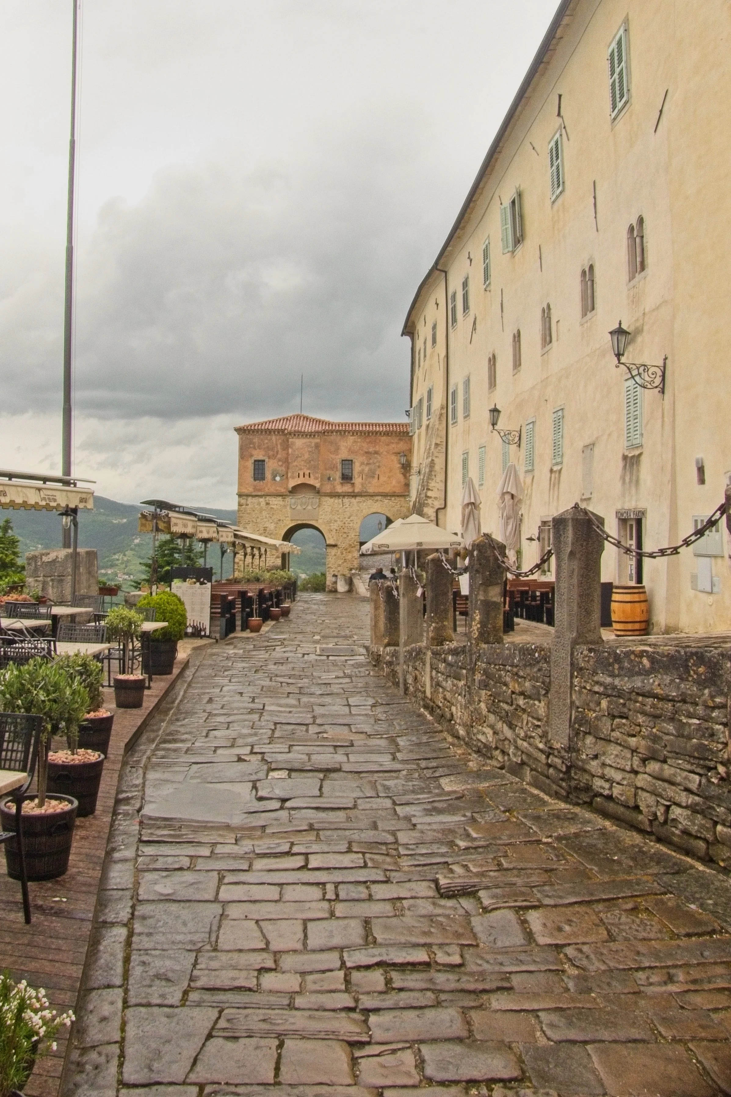P1100075.jpg
