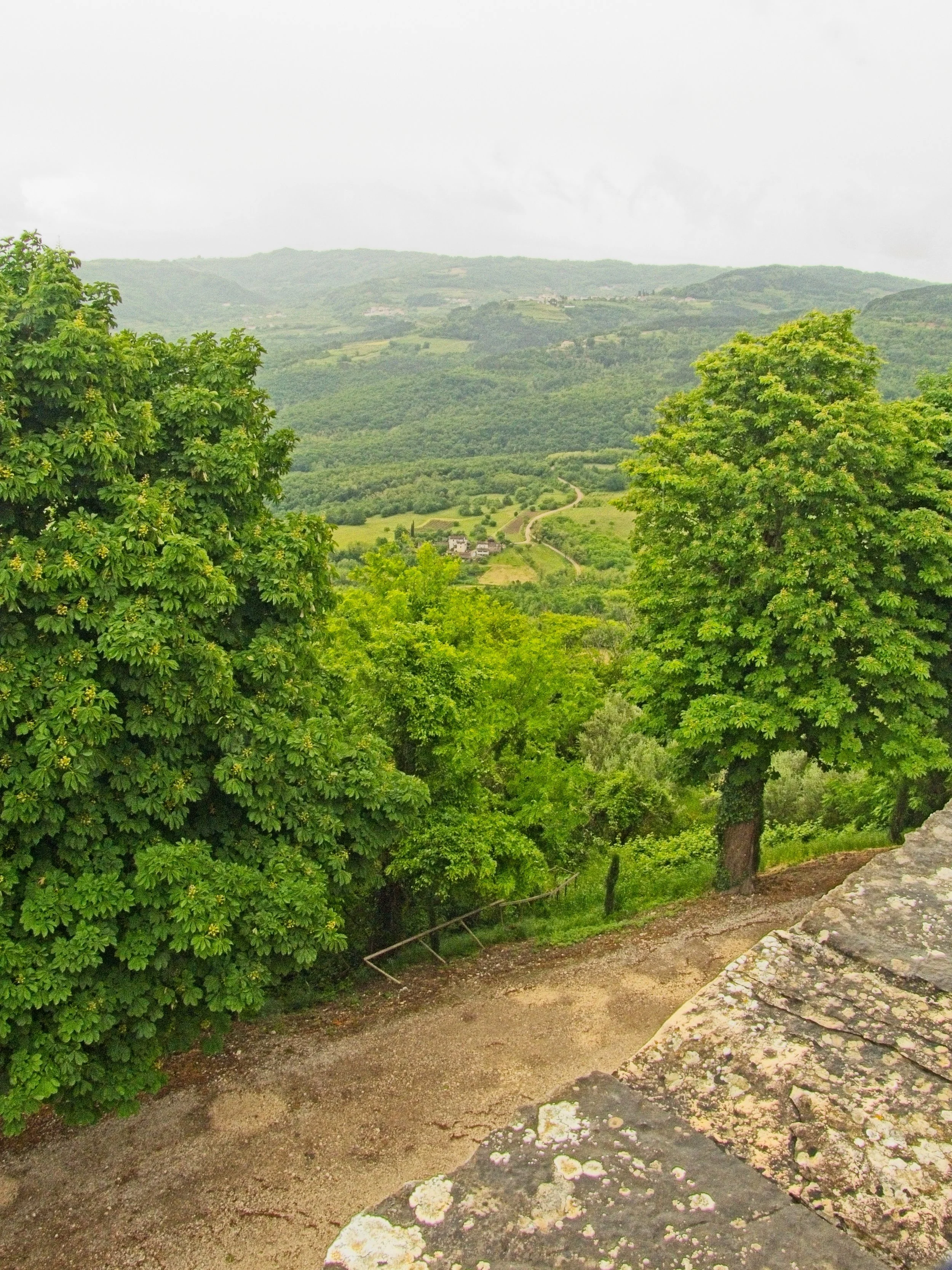 P1100086.jpg
