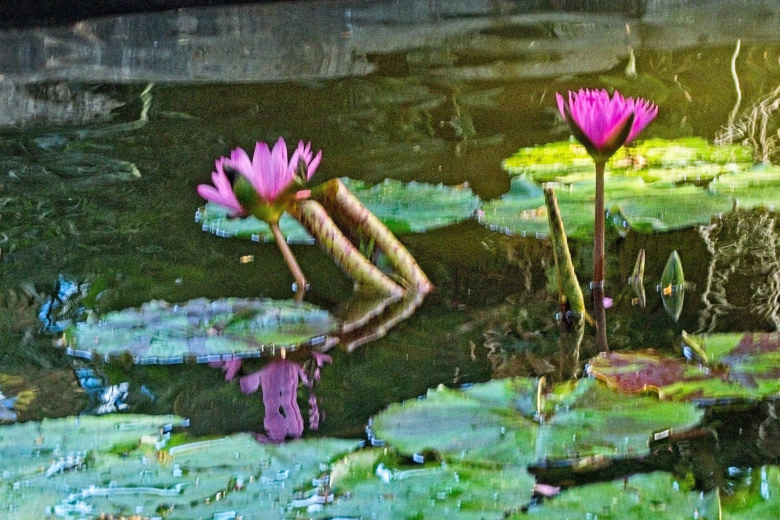 PC240227.jpg