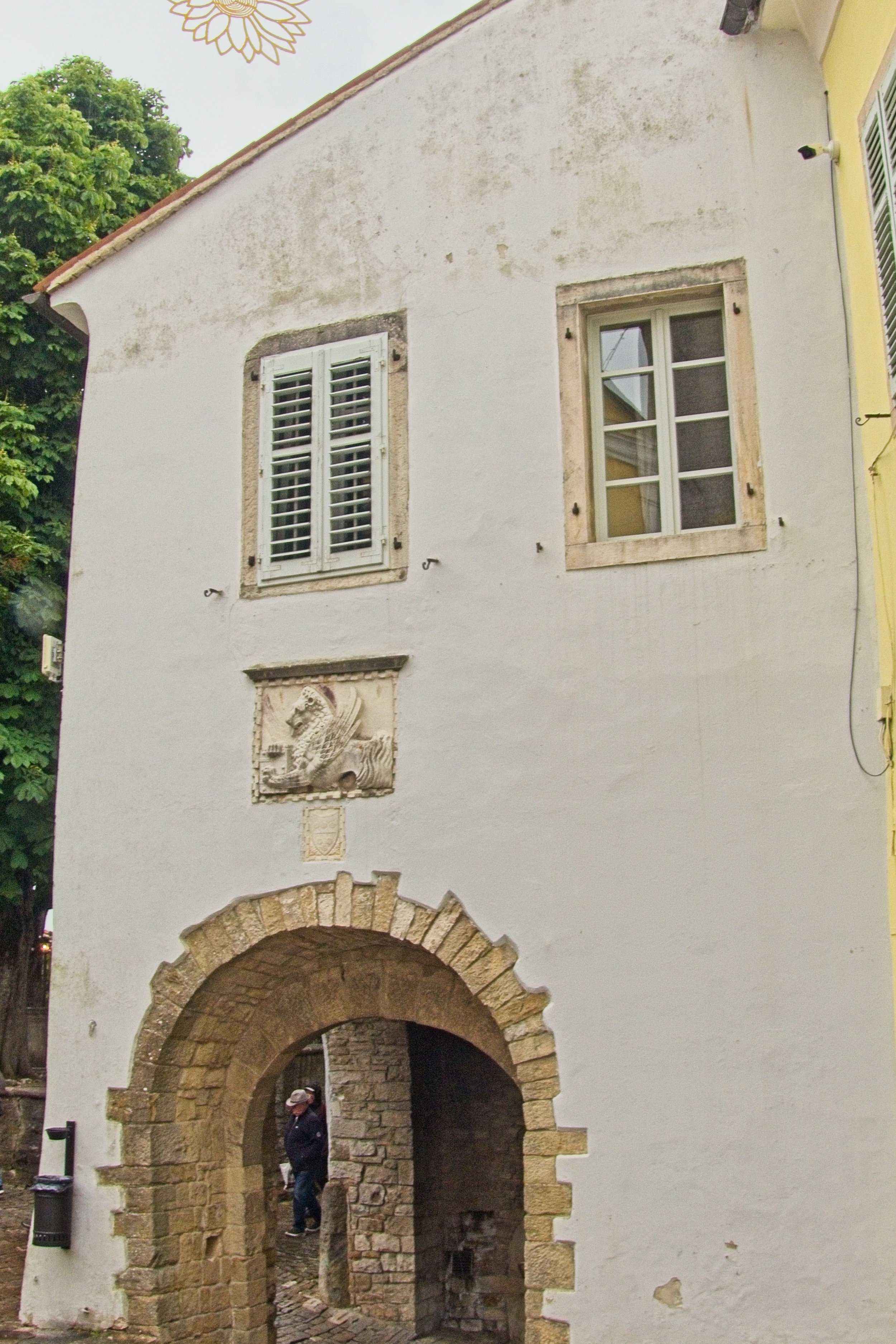 P1100077.jpg