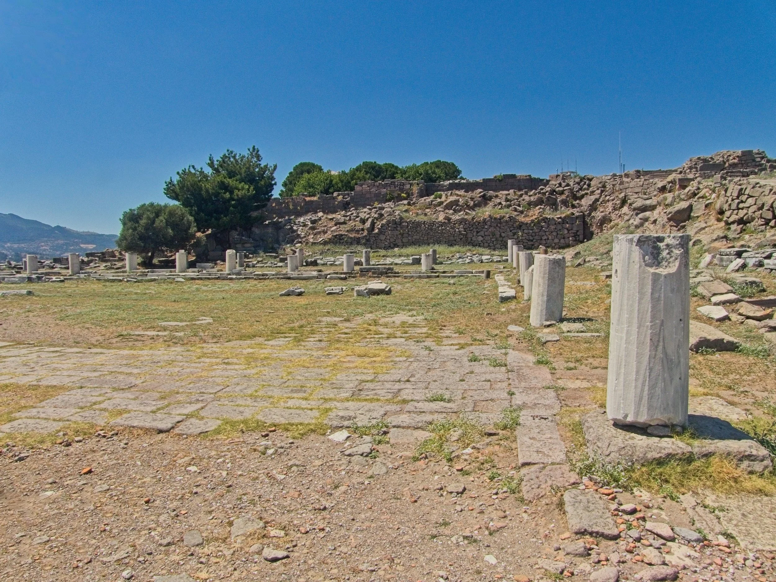 P1100939.jpg