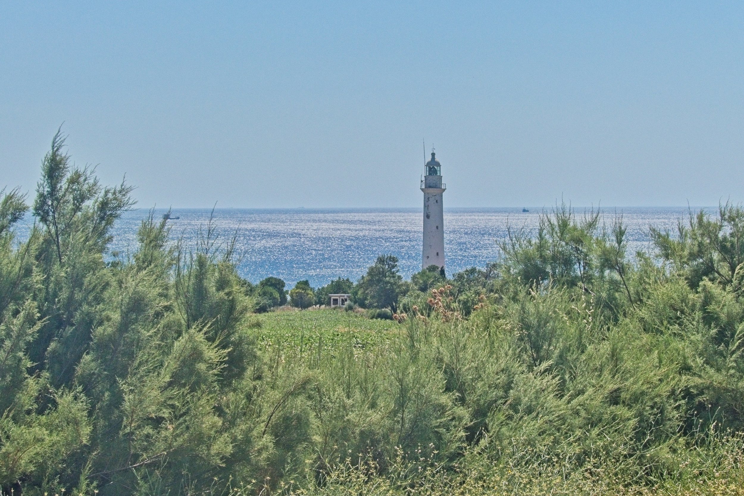 P1100820.jpg