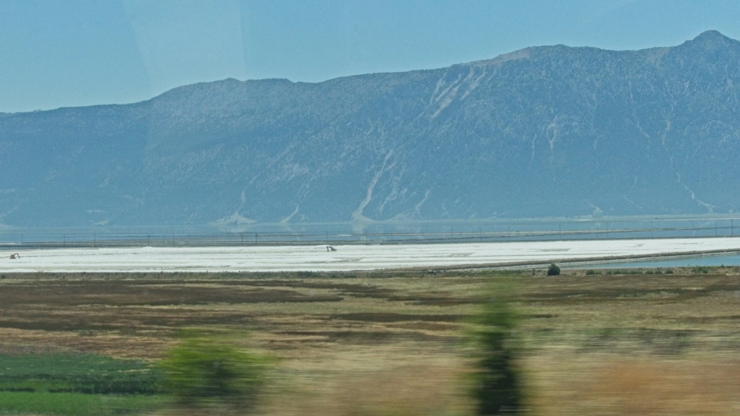 P1110133.jpg