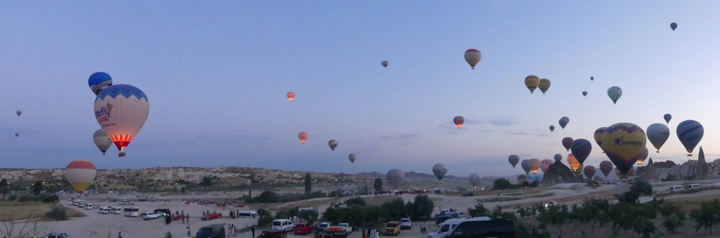 P1110339.jpg